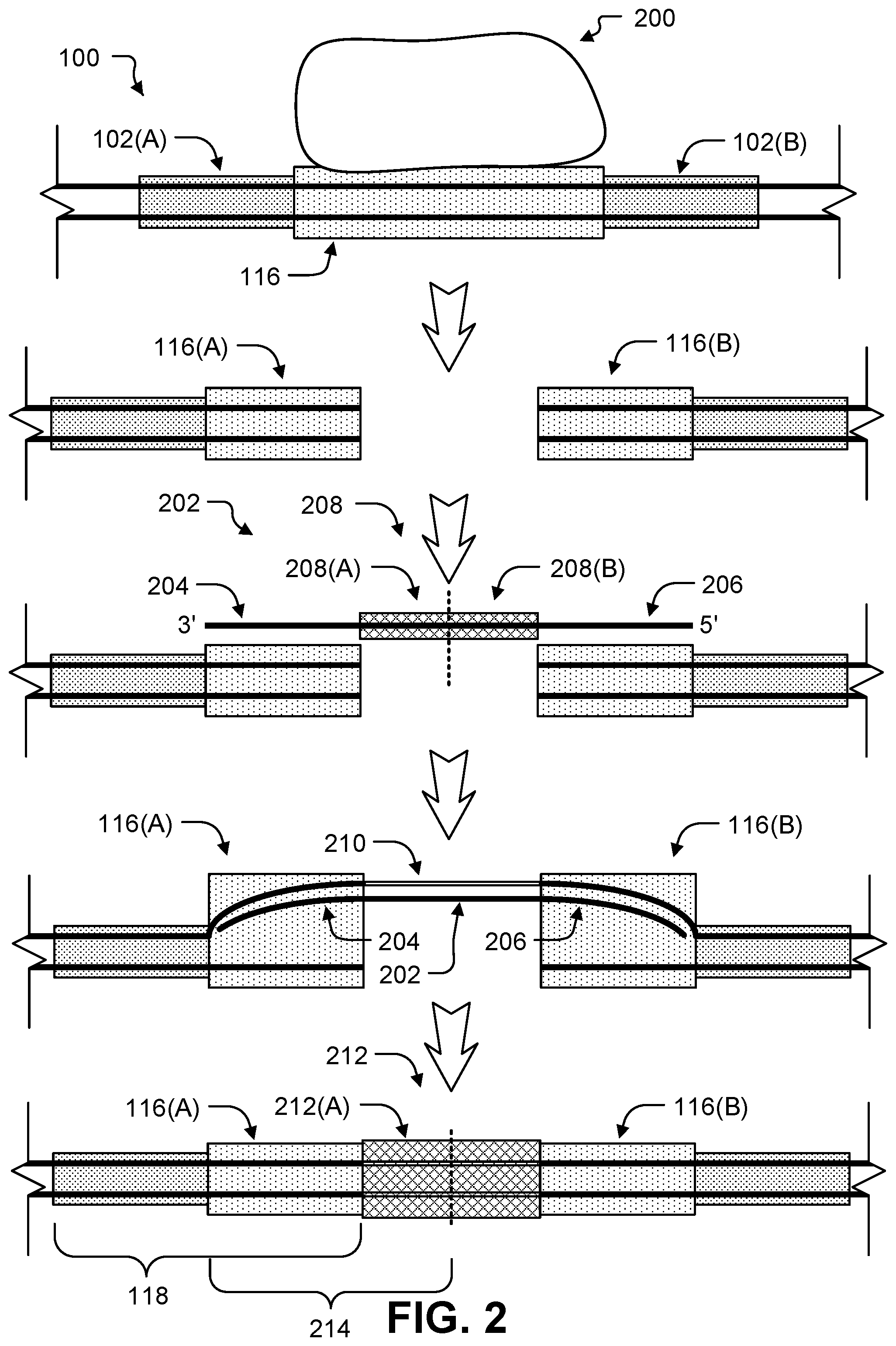 Patent US12104167 Figure 2 – Storage through iterative DNA editing