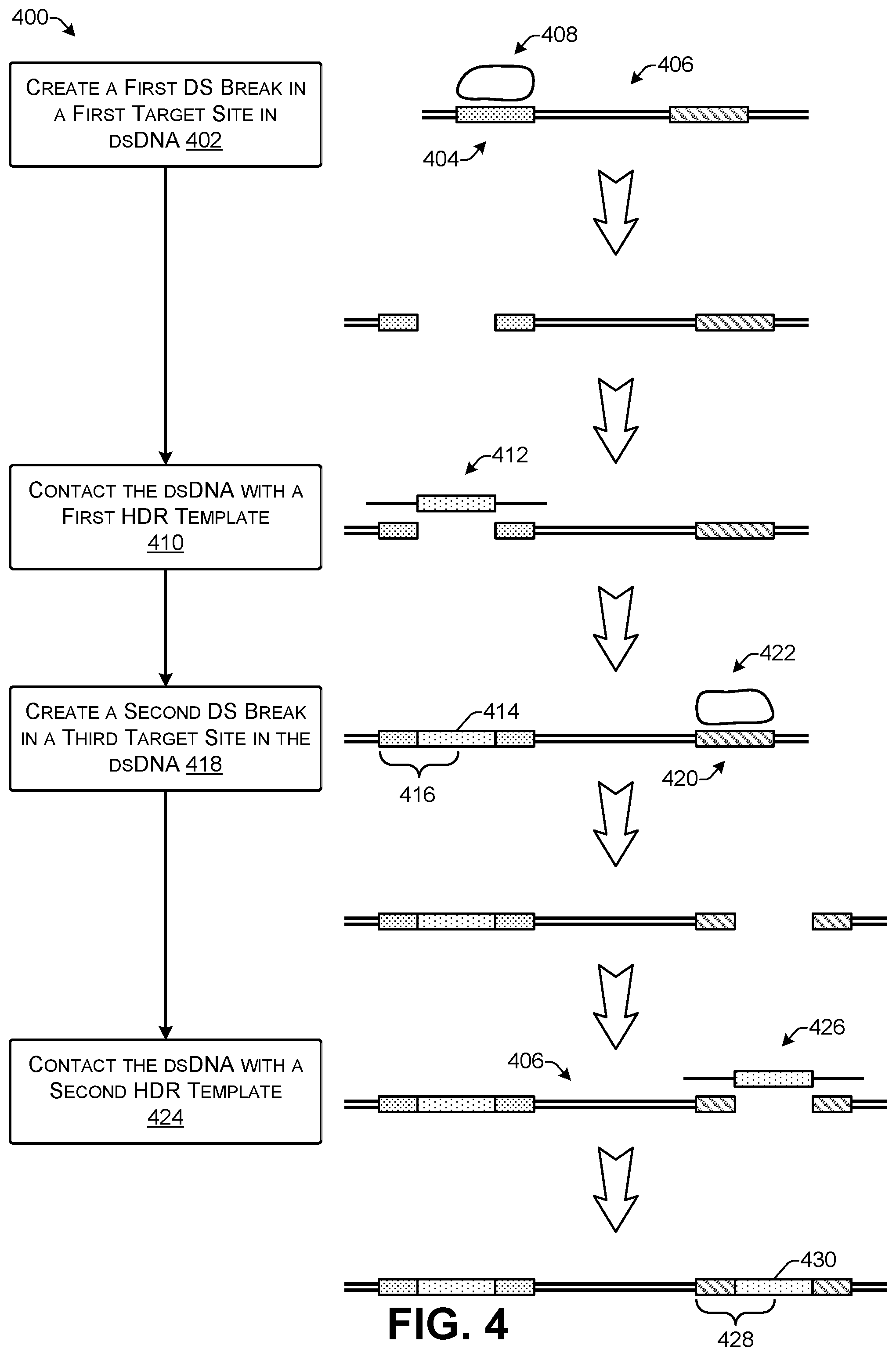 Patent US12104167 Figure 4 – Storage through iterative DNA editing