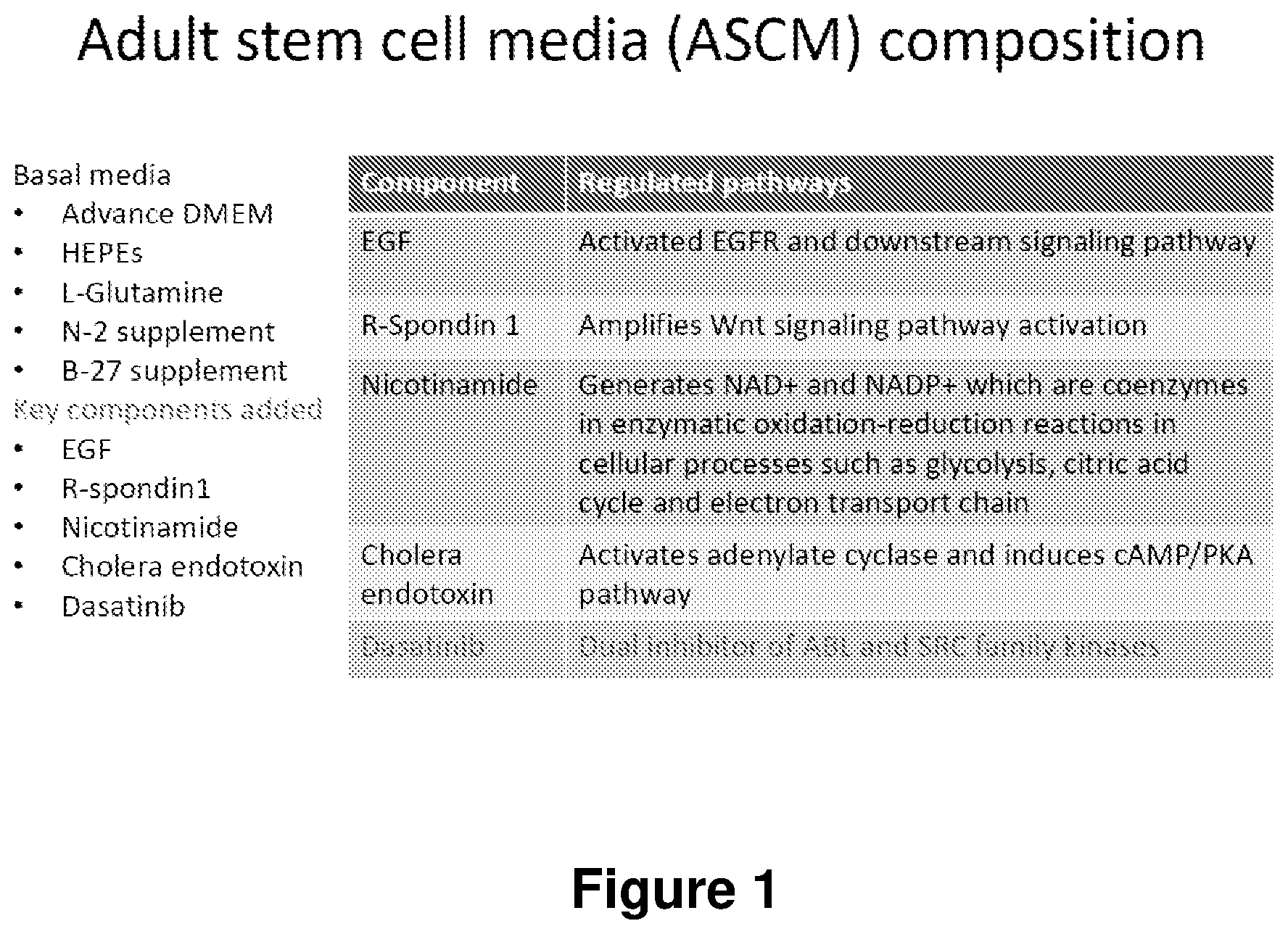 Patent US12104168 Figure 1 – Cell culture medium