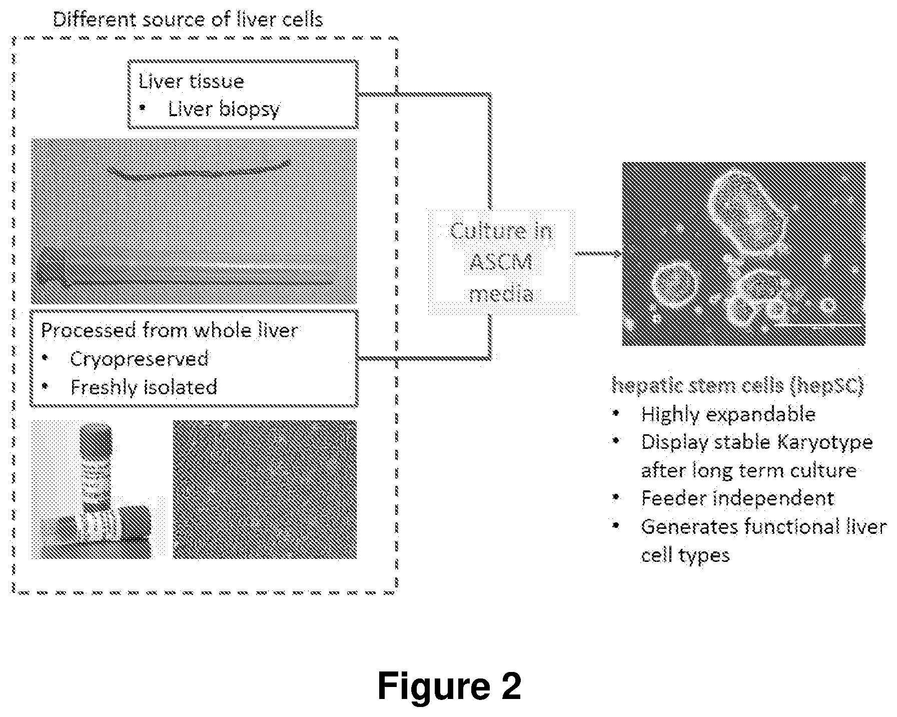 Patent US12104168 Figure 2 – Cell culture medium