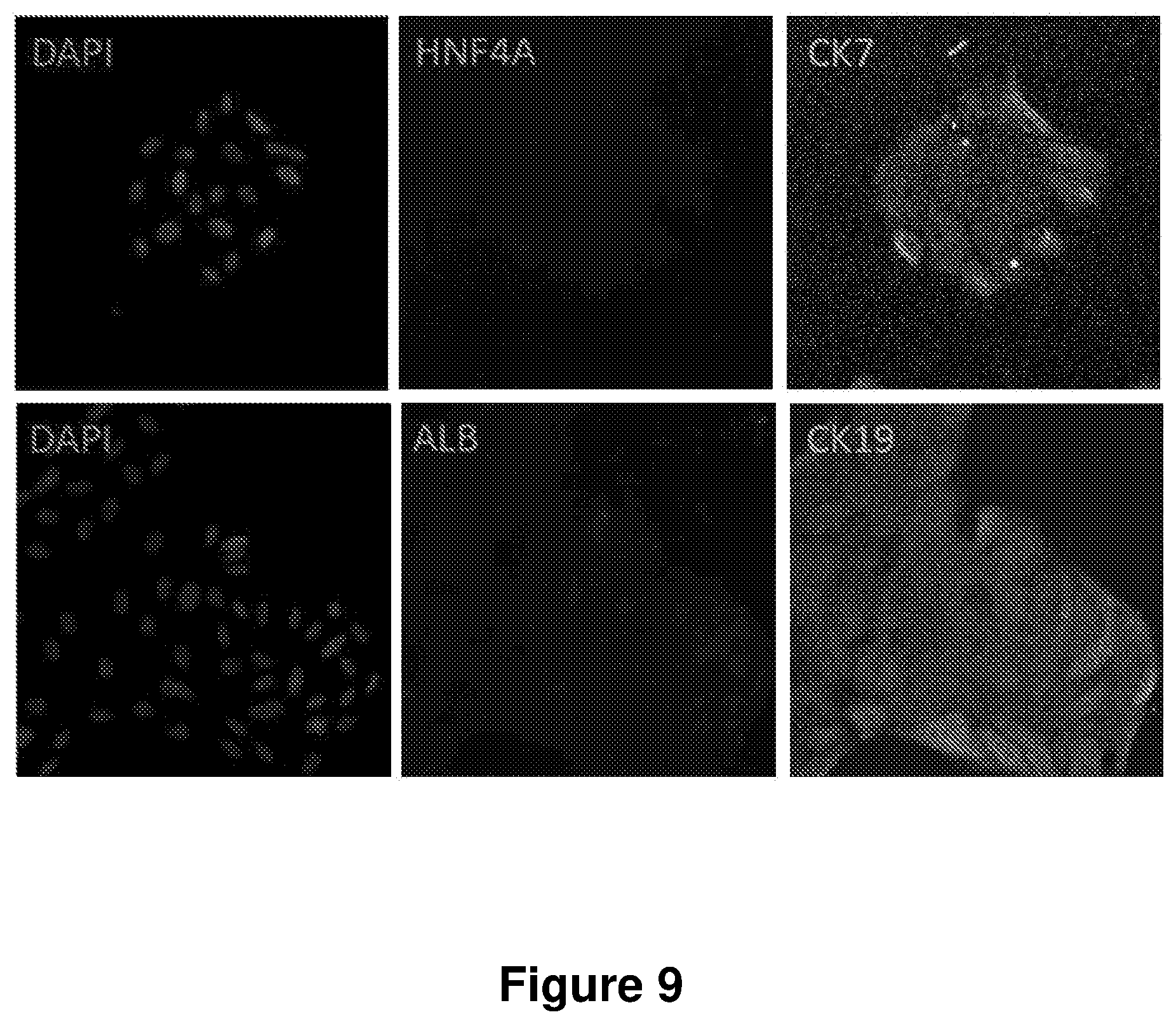 Patent US12104168 Figure 9 – Cell culture medium