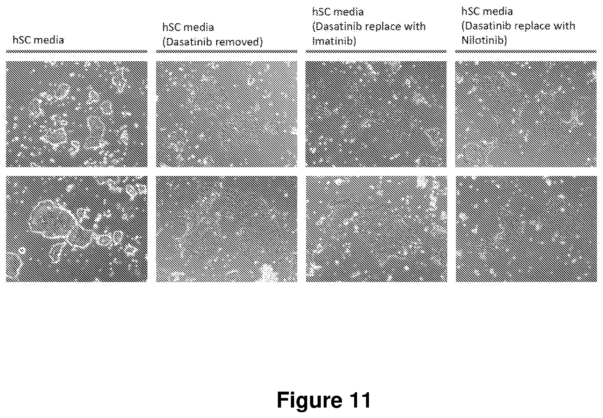 Patent US12104168 Figure 11 – Cell culture medium