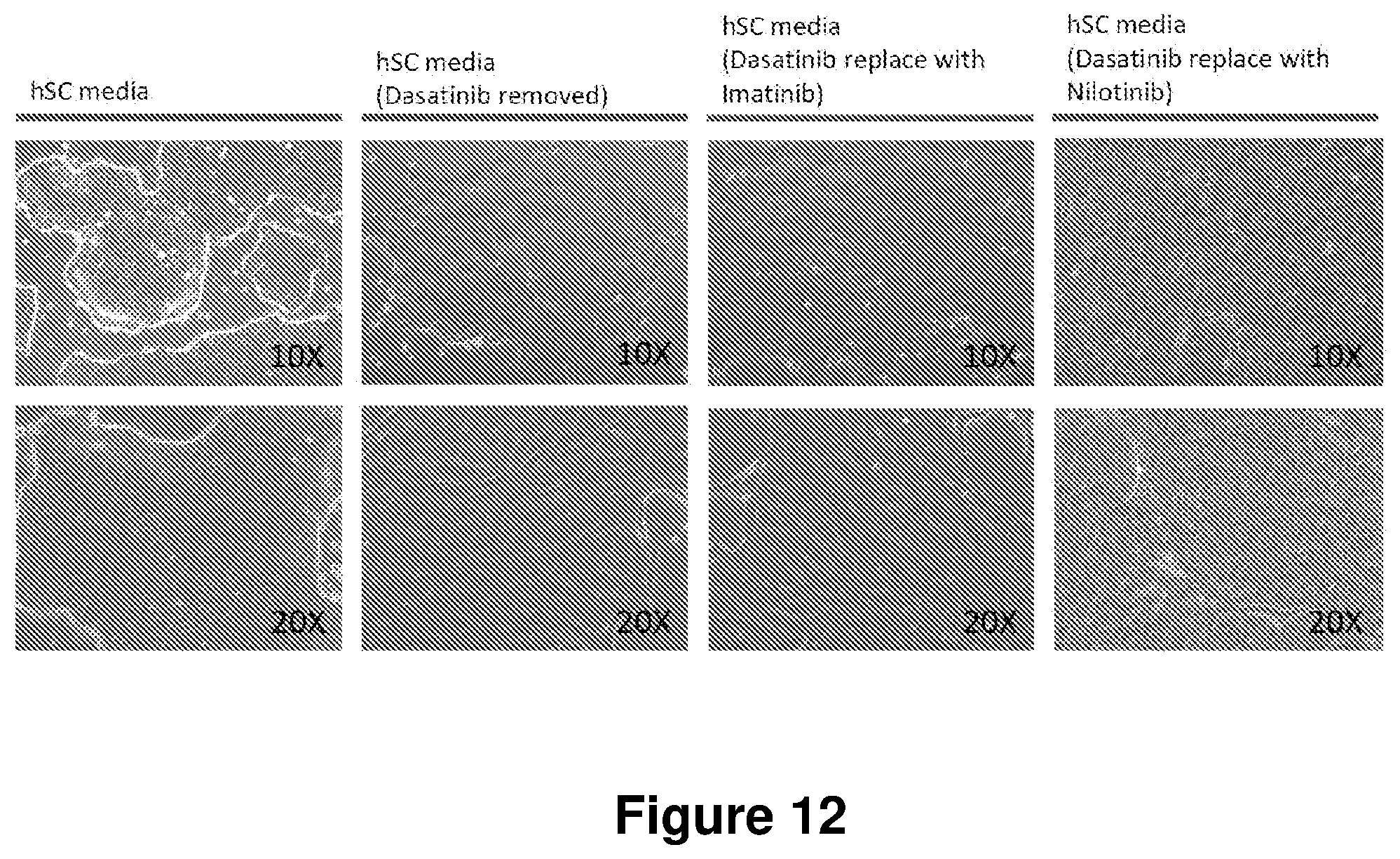 Patent US12104168 Figure 12 – Cell culture medium