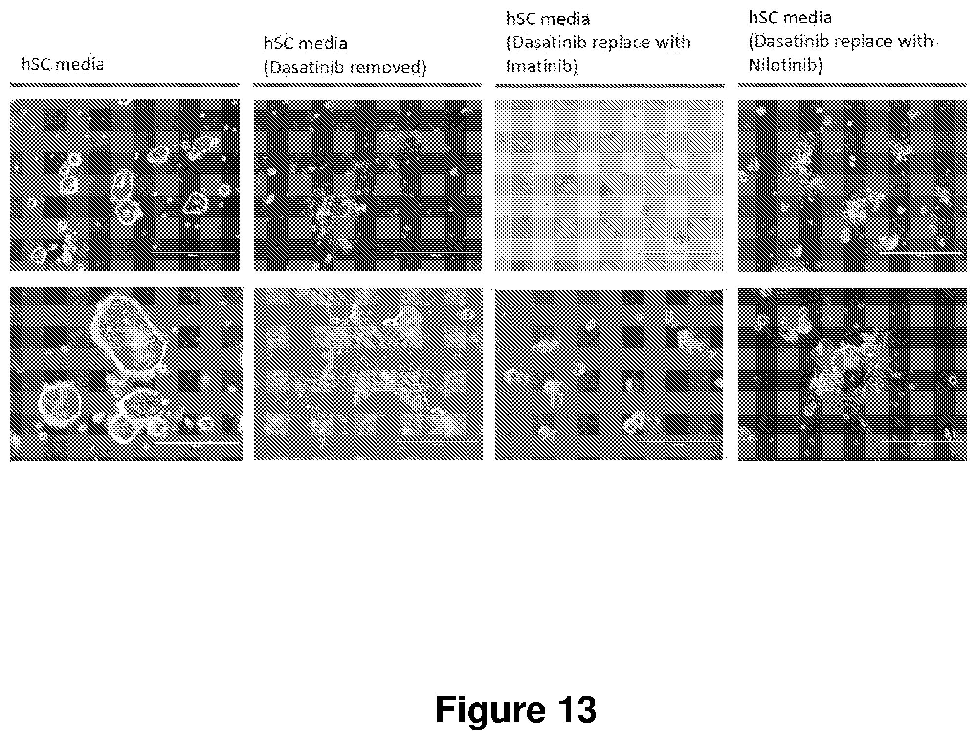Patent US12104168 Figure 13 – Cell culture medium