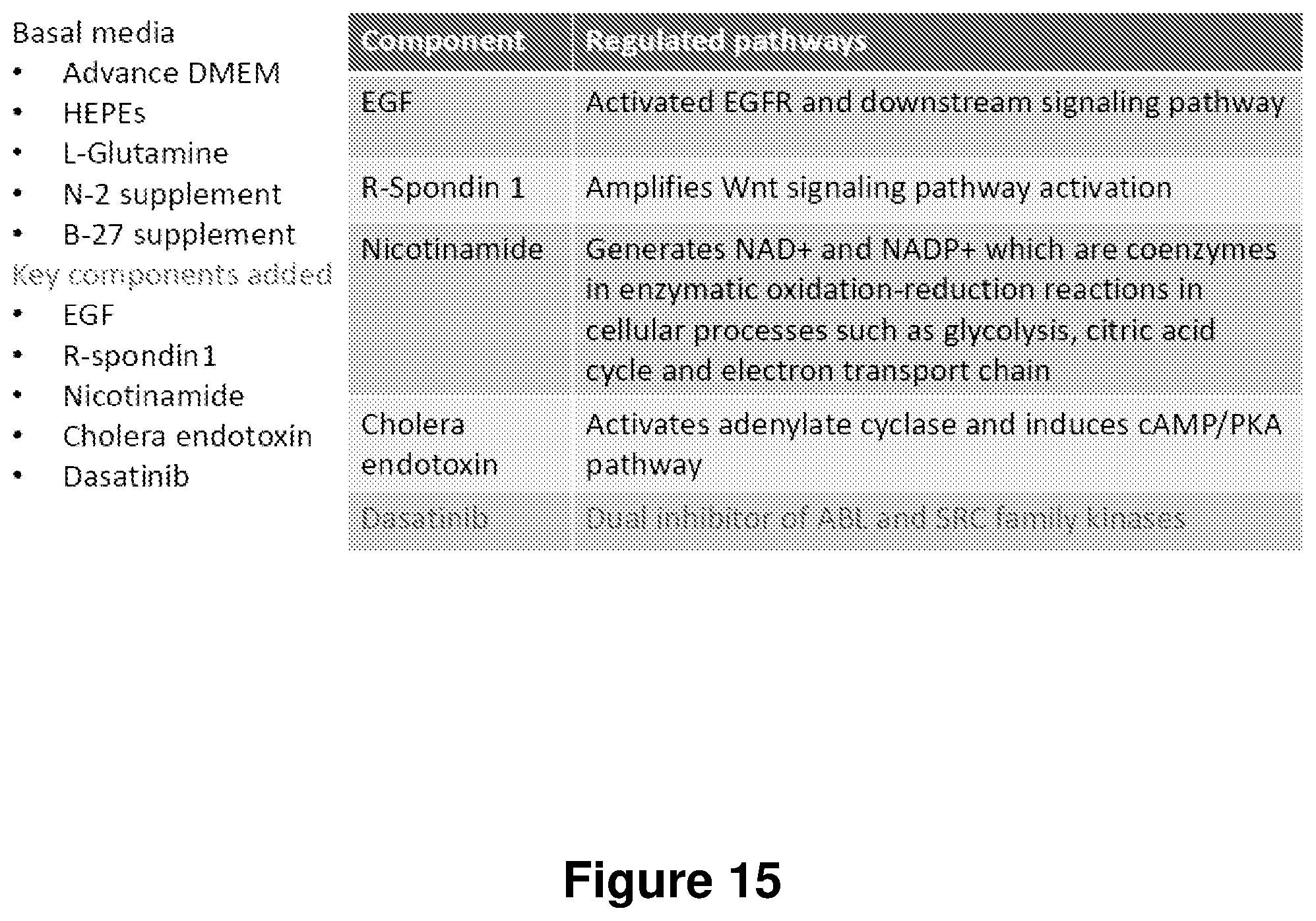 Patent US12104168 Figure 15 – Cell culture medium