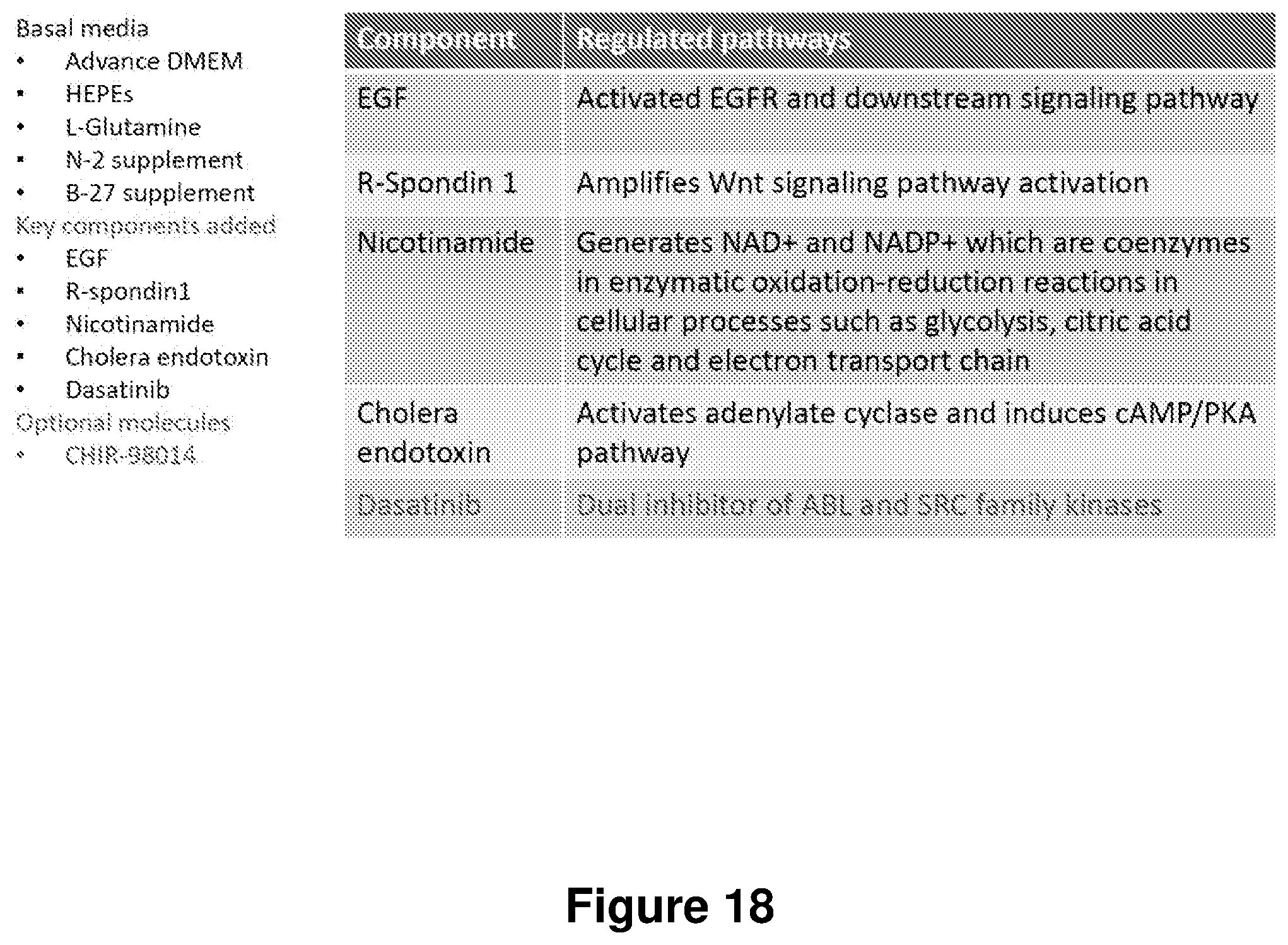 Patent US12104168 Figure 18 – Cell culture medium