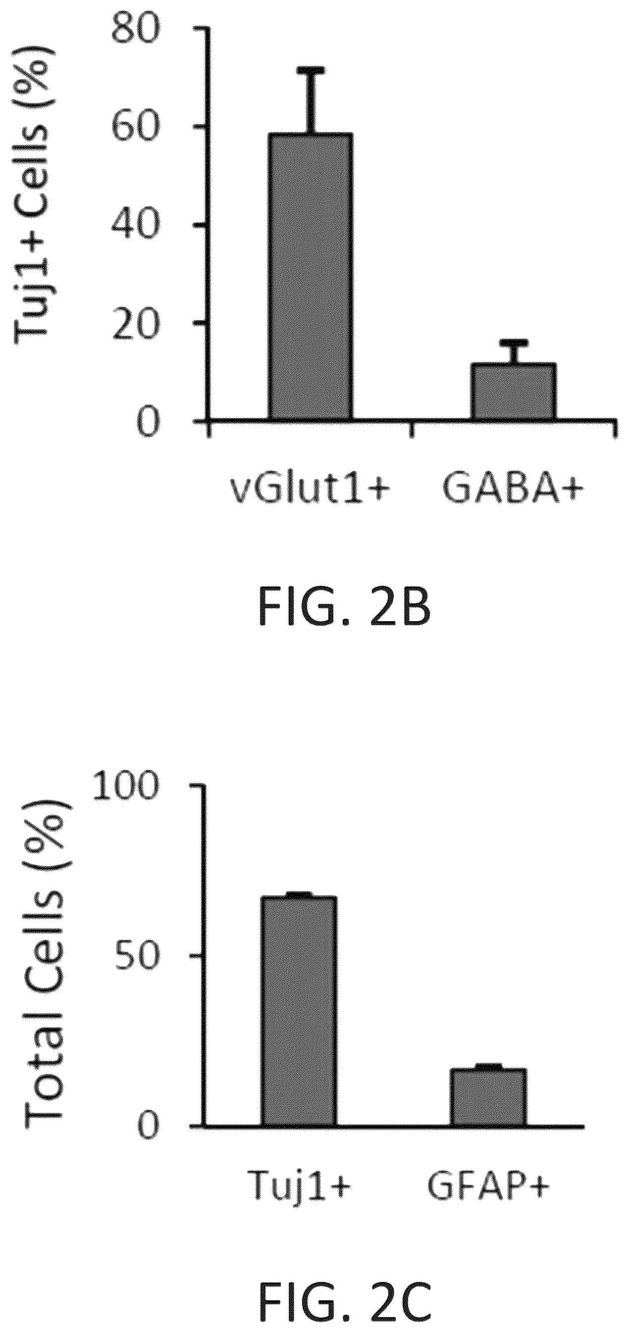 Patent US12104169 Figure 8 – Chemical reprogramming to generate neuronal cells