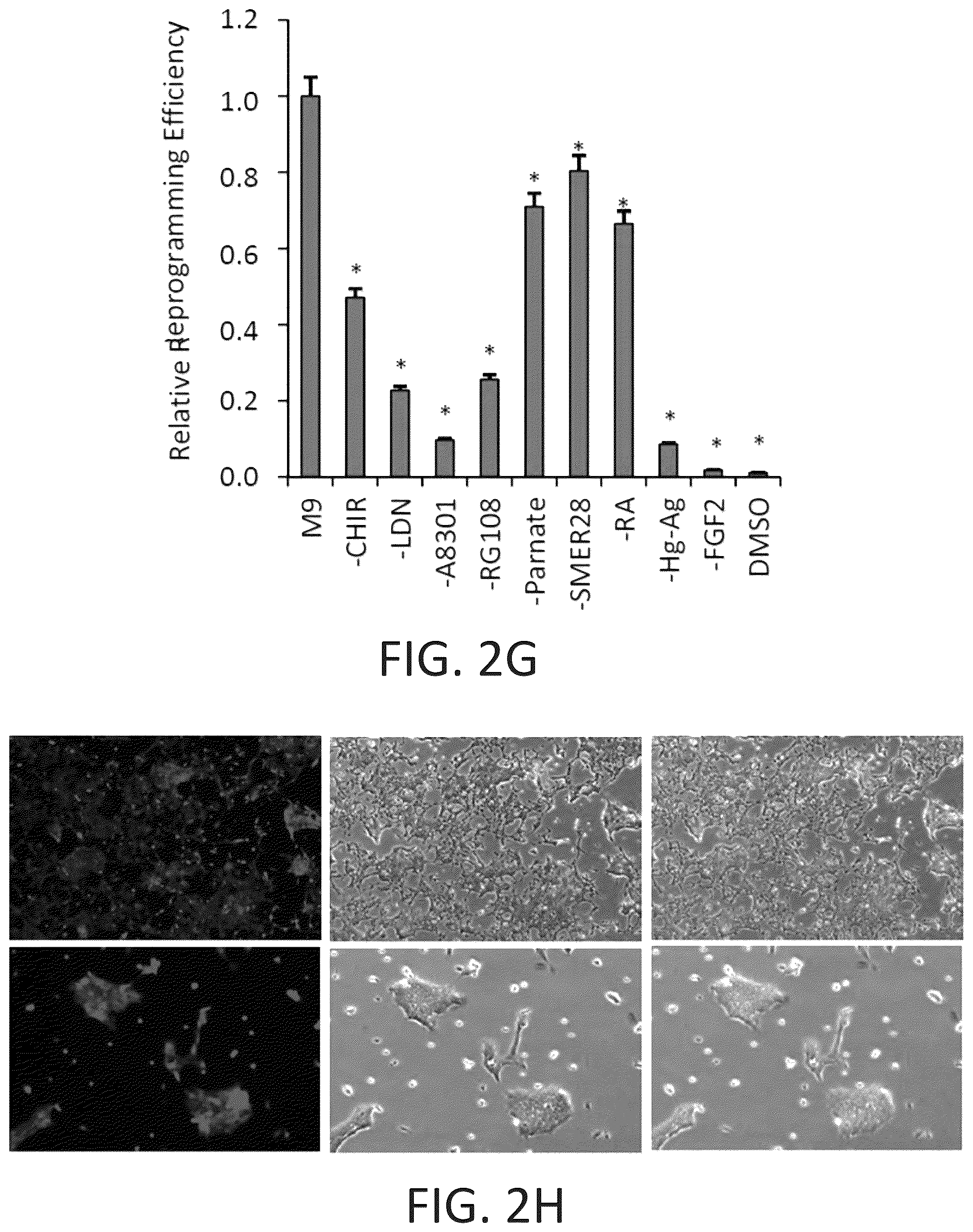 Patent US12104169 Figure 11 – Chemical reprogramming to generate neuronal cells