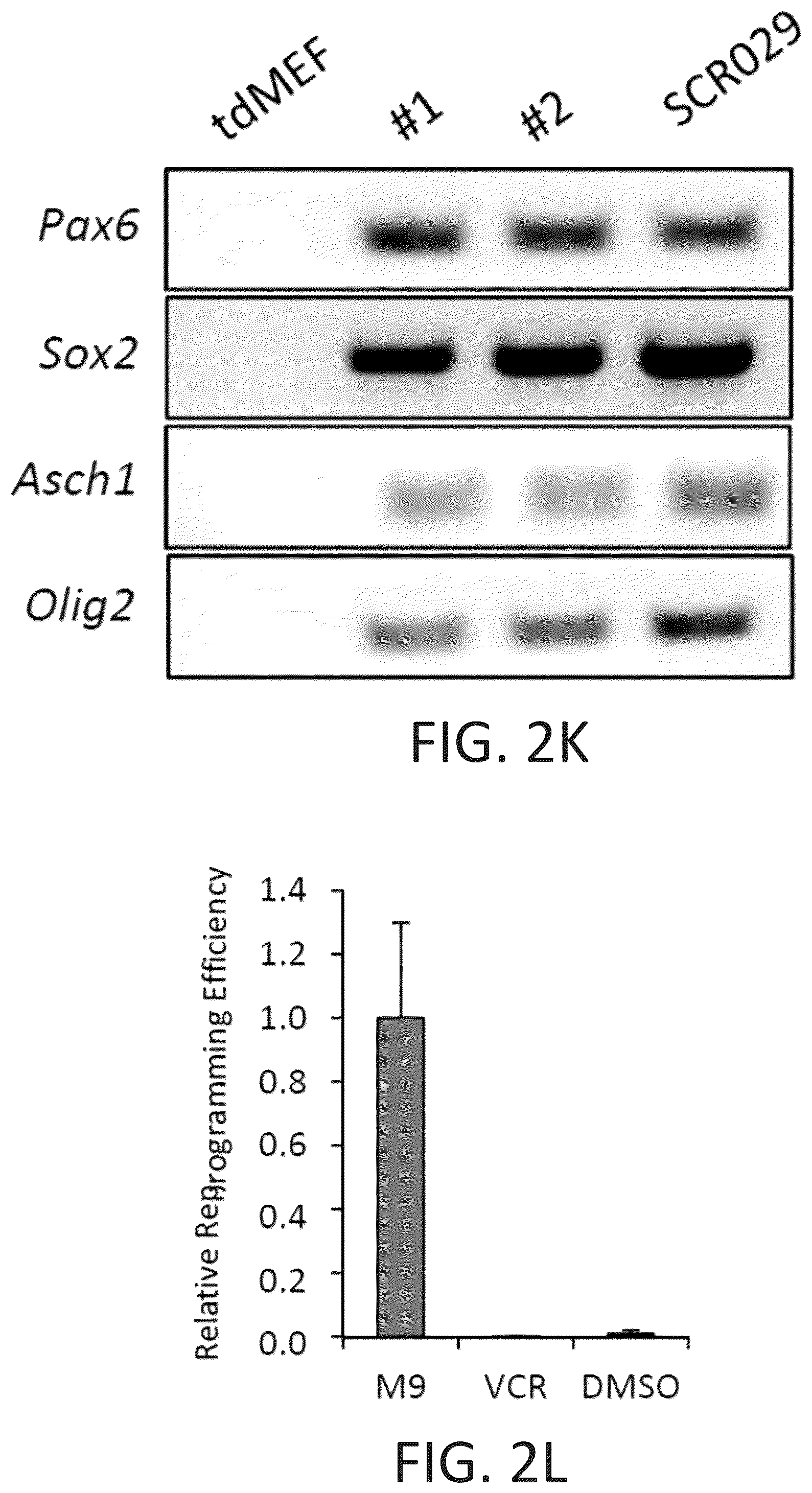 Patent US12104169 Figure 13 – Chemical reprogramming to generate neuronal cells