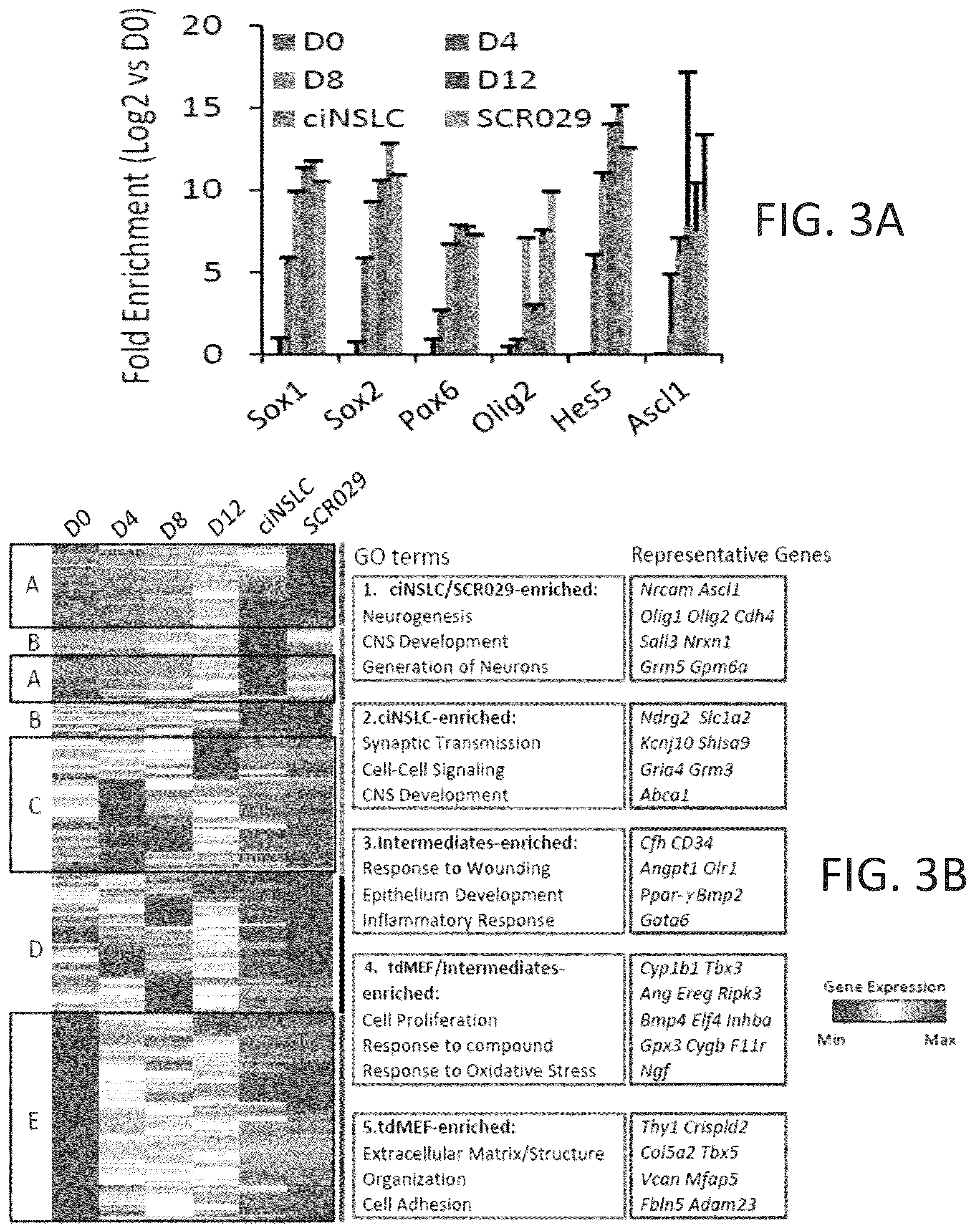 Patent US12104169 Figure 14 – Chemical reprogramming to generate neuronal cells