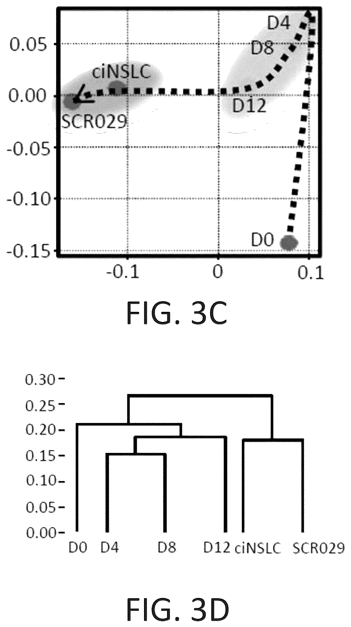 Patent US12104169 Figure 15 – Chemical reprogramming to generate neuronal cells