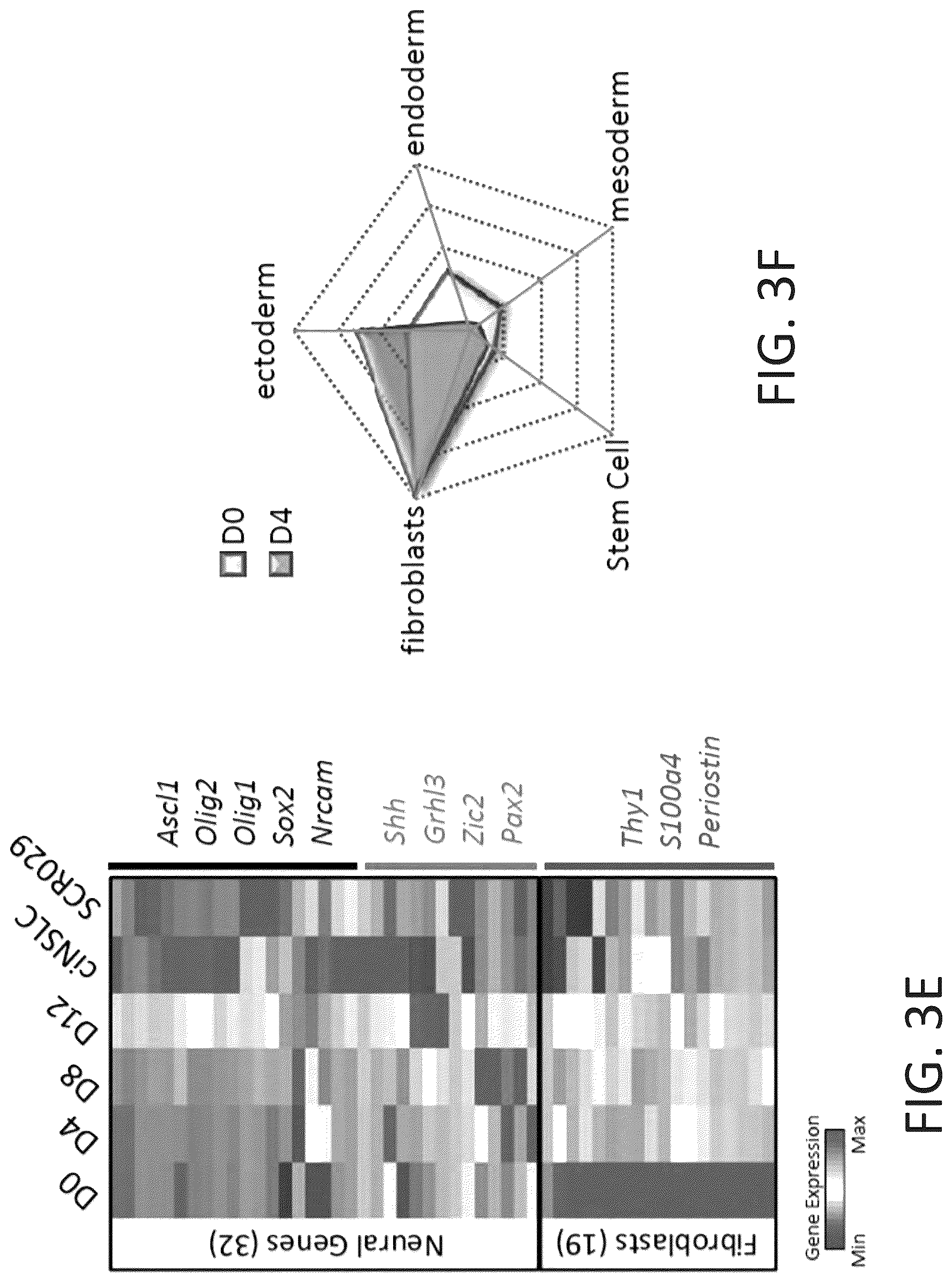Patent US12104169 Figure 16 – Chemical reprogramming to generate neuronal cells