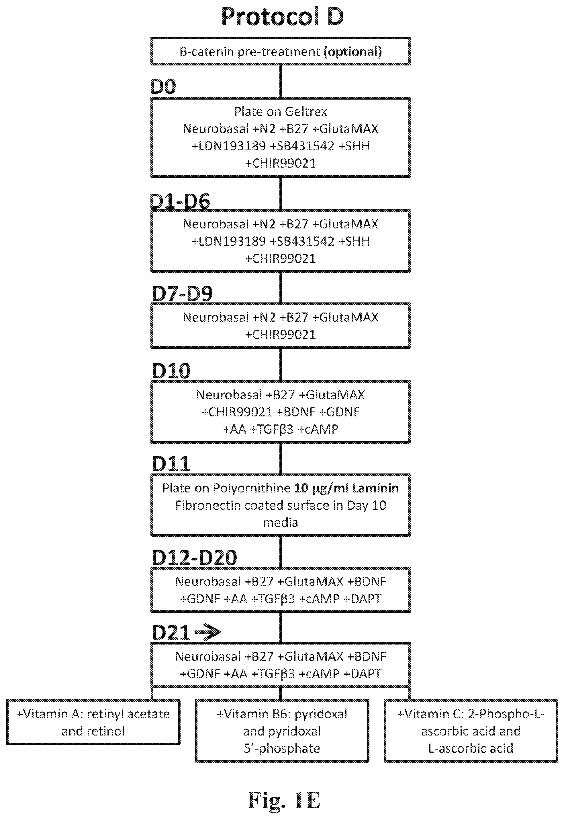 Patent US12104170 Figure 3 – Methods for deriving dopaminergic neurons from pluripotent stem cells