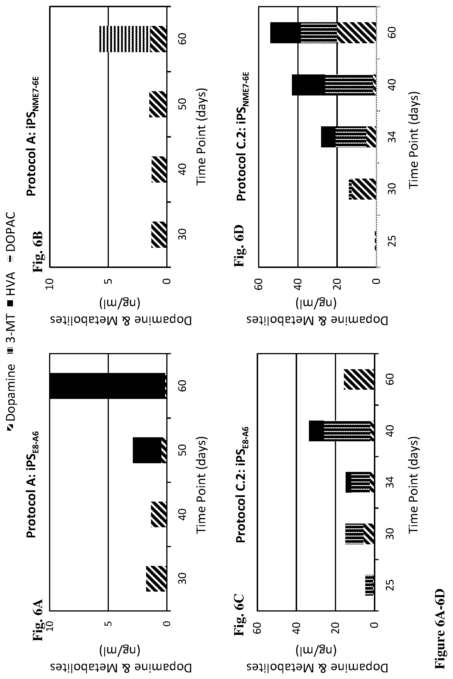 Patent US12104170 Figure 8 – Methods for deriving dopaminergic neurons from pluripotent stem cells
