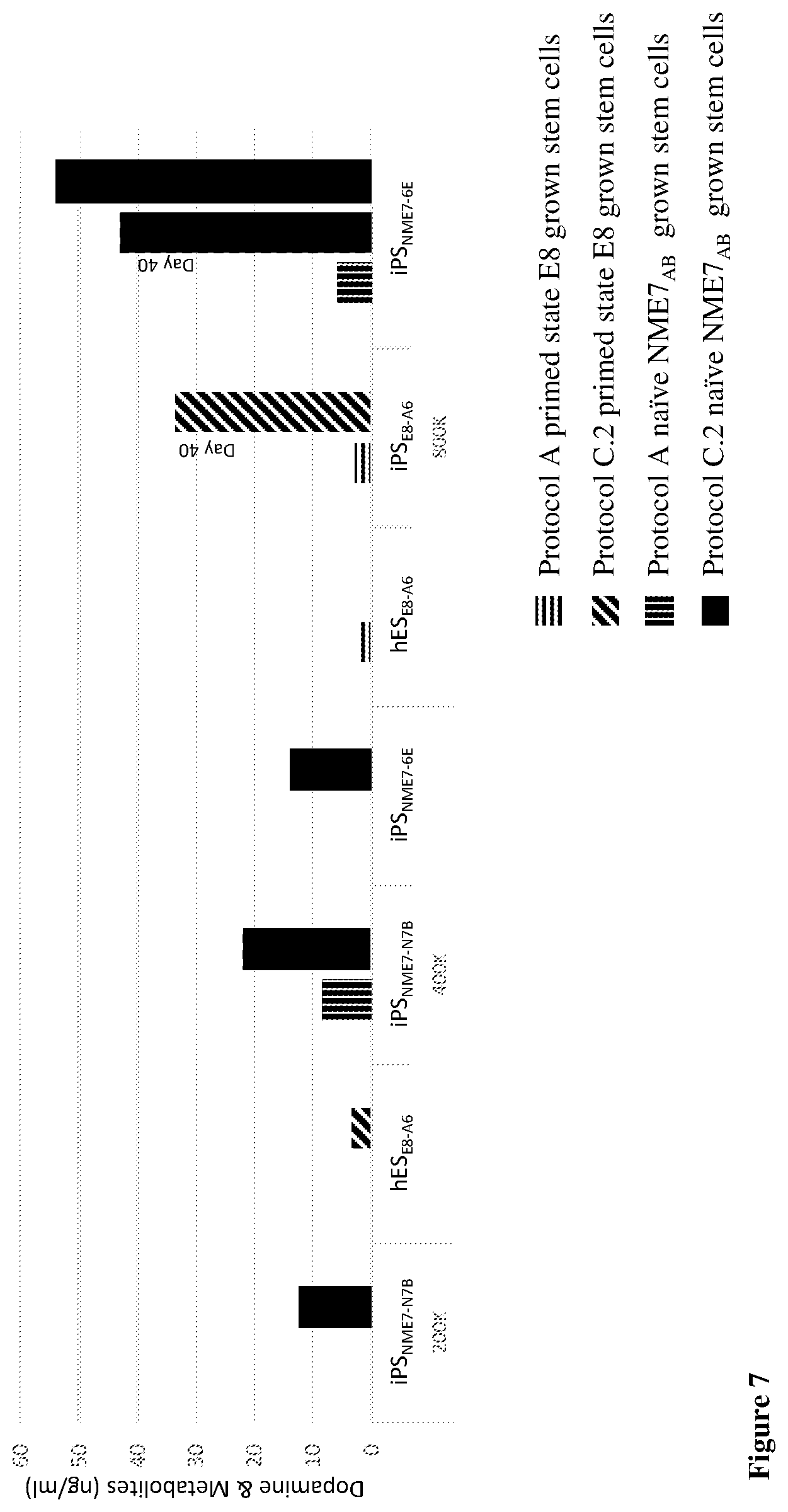Patent US12104170 Figure 9 – Methods for deriving dopaminergic neurons from pluripotent stem cells