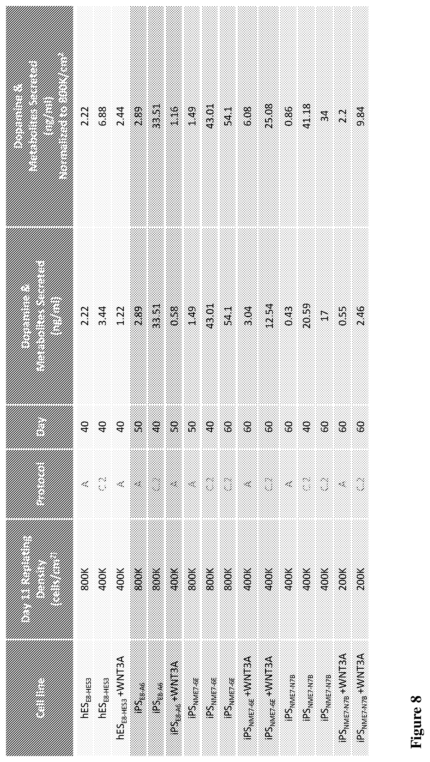 Patent US12104170 Figure 10 – Methods for deriving dopaminergic neurons from pluripotent stem cells