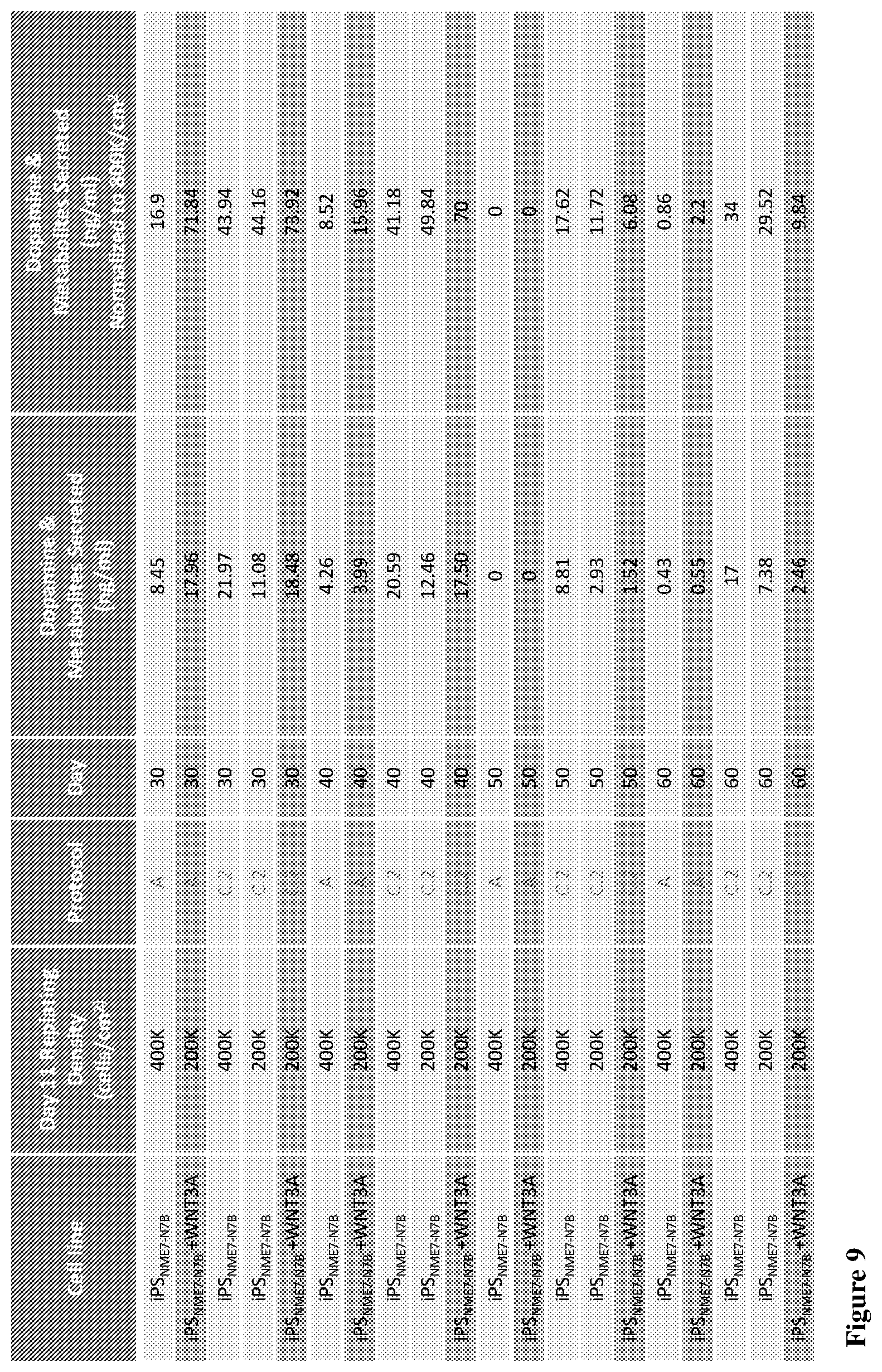 Patent US12104170 Figure 11 – Methods for deriving dopaminergic neurons from pluripotent stem cells