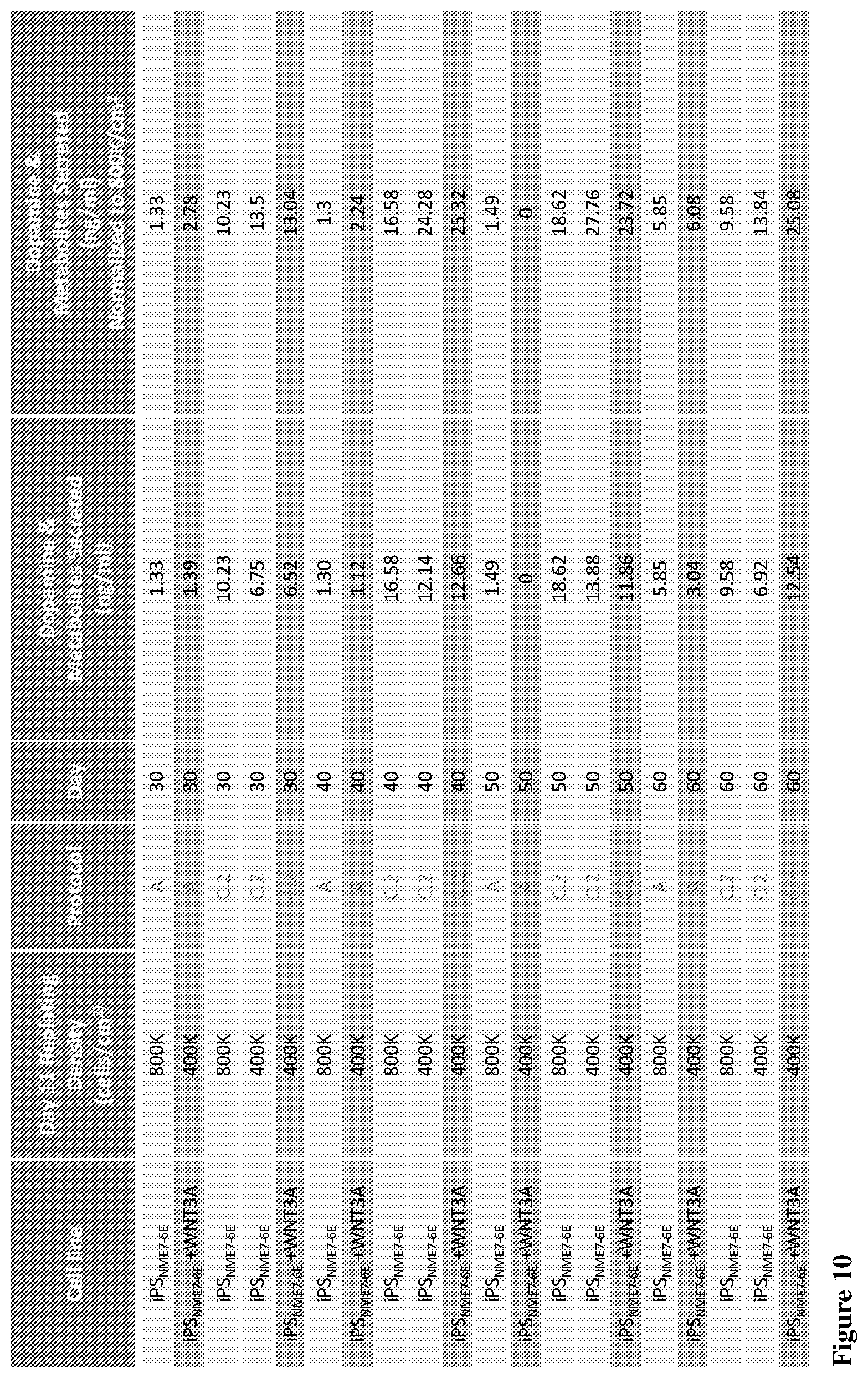 Patent US12104170 Figure 12 – Methods for deriving dopaminergic neurons from pluripotent stem cells