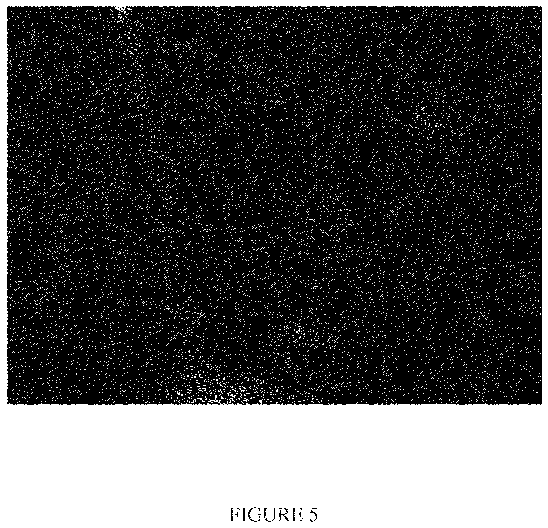 Patent US12104171 Figure 5 – Induction of neural progenitor cells, oligodendrocyte progenitor cells, and oligodendrocytes by stem cell differentiation using landmark transcription factors