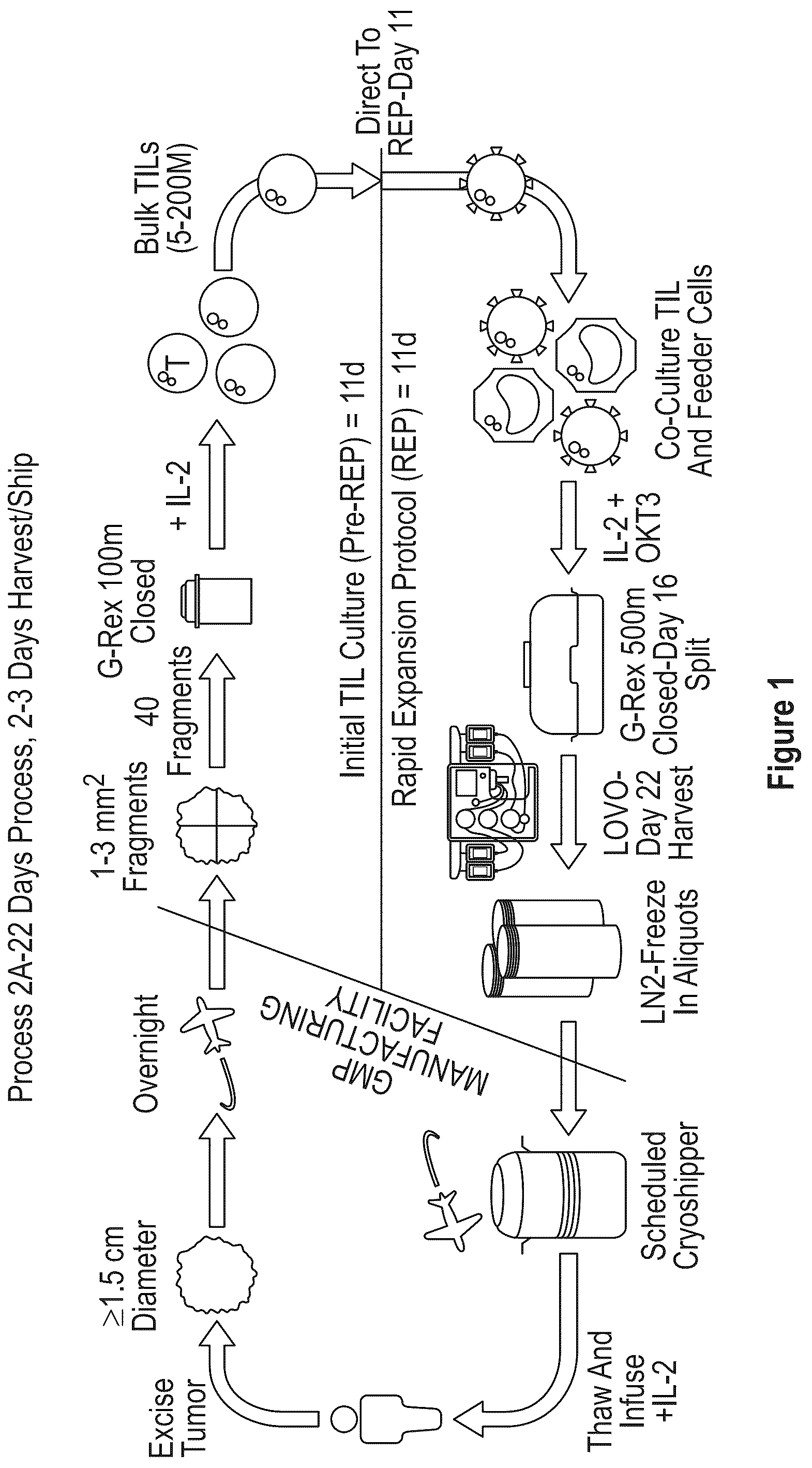 Patent US12104172 Figure 1 – Processes for generating TIL products enriched for tumor antigen-specific t-cells