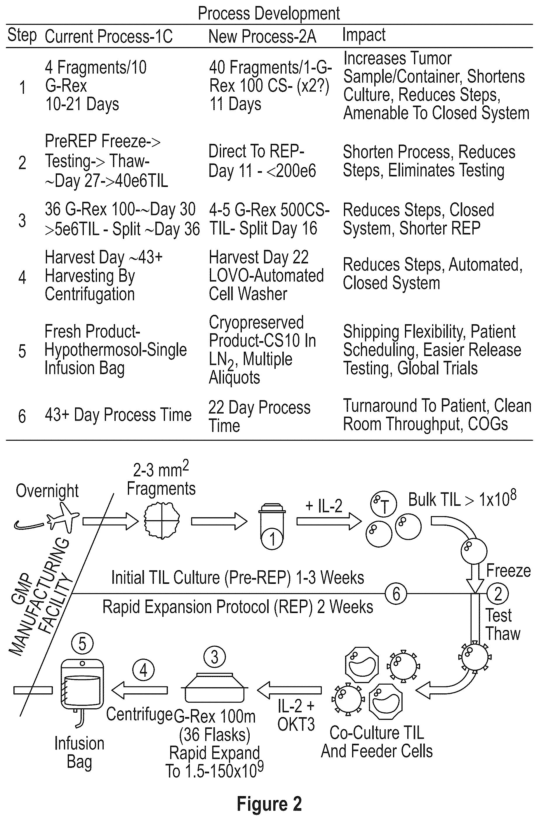 Patent US12104172 Figure 2 – Processes for generating TIL products enriched for tumor antigen-specific t-cells