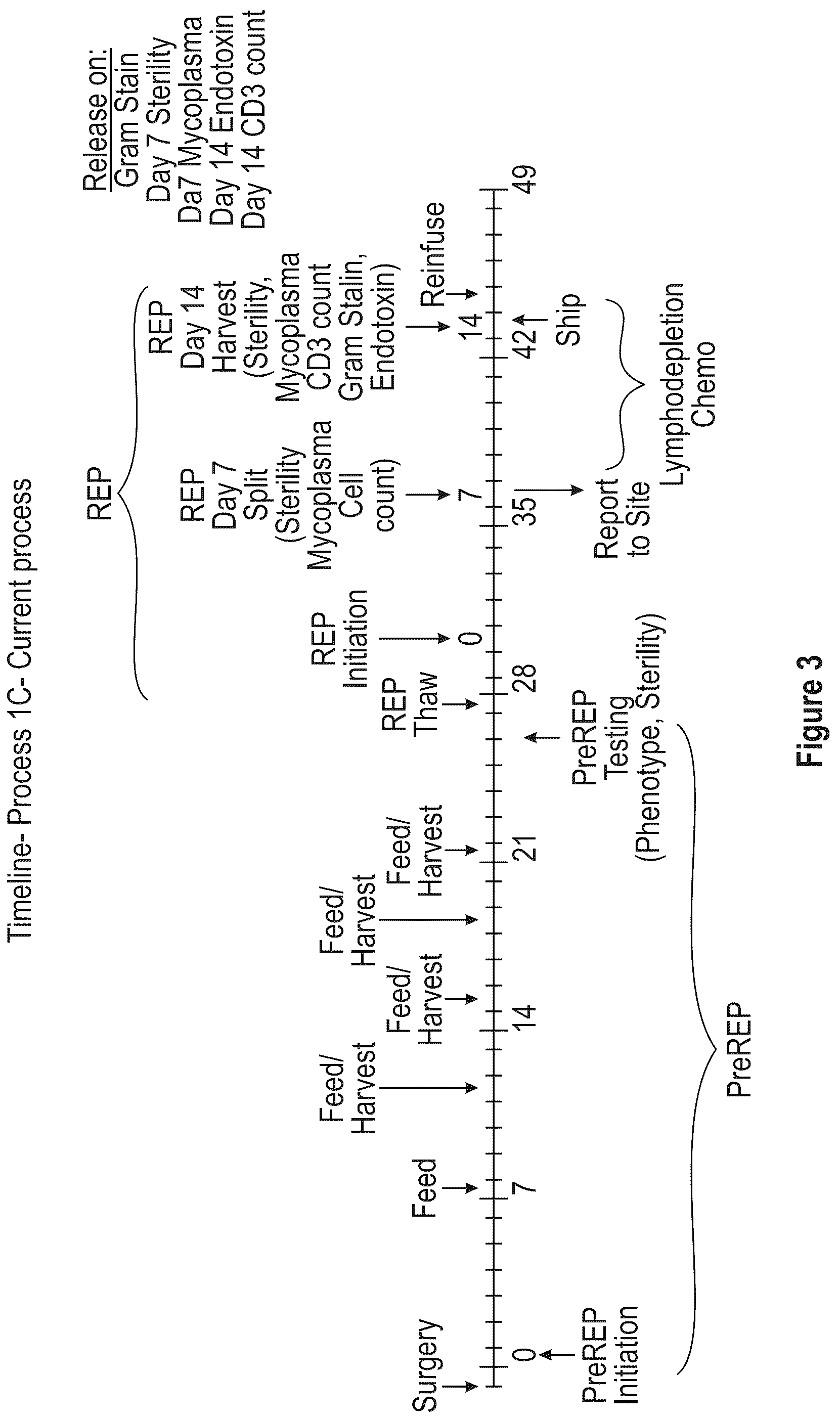 Patent US12104172 Figure 3 – Processes for generating TIL products enriched for tumor antigen-specific t-cells