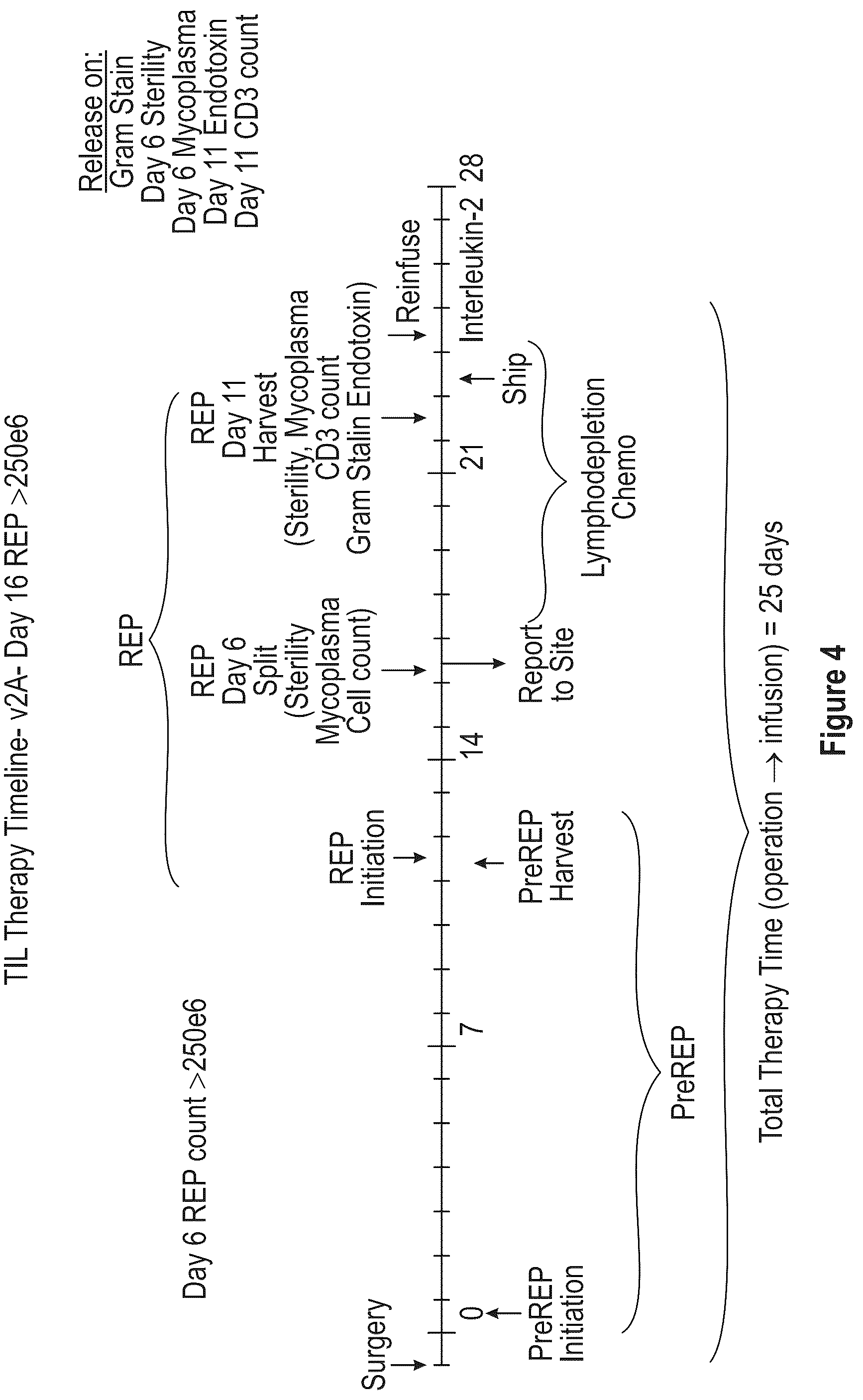 Patent US12104172 Figure 4 – Processes for generating TIL products enriched for tumor antigen-specific t-cells