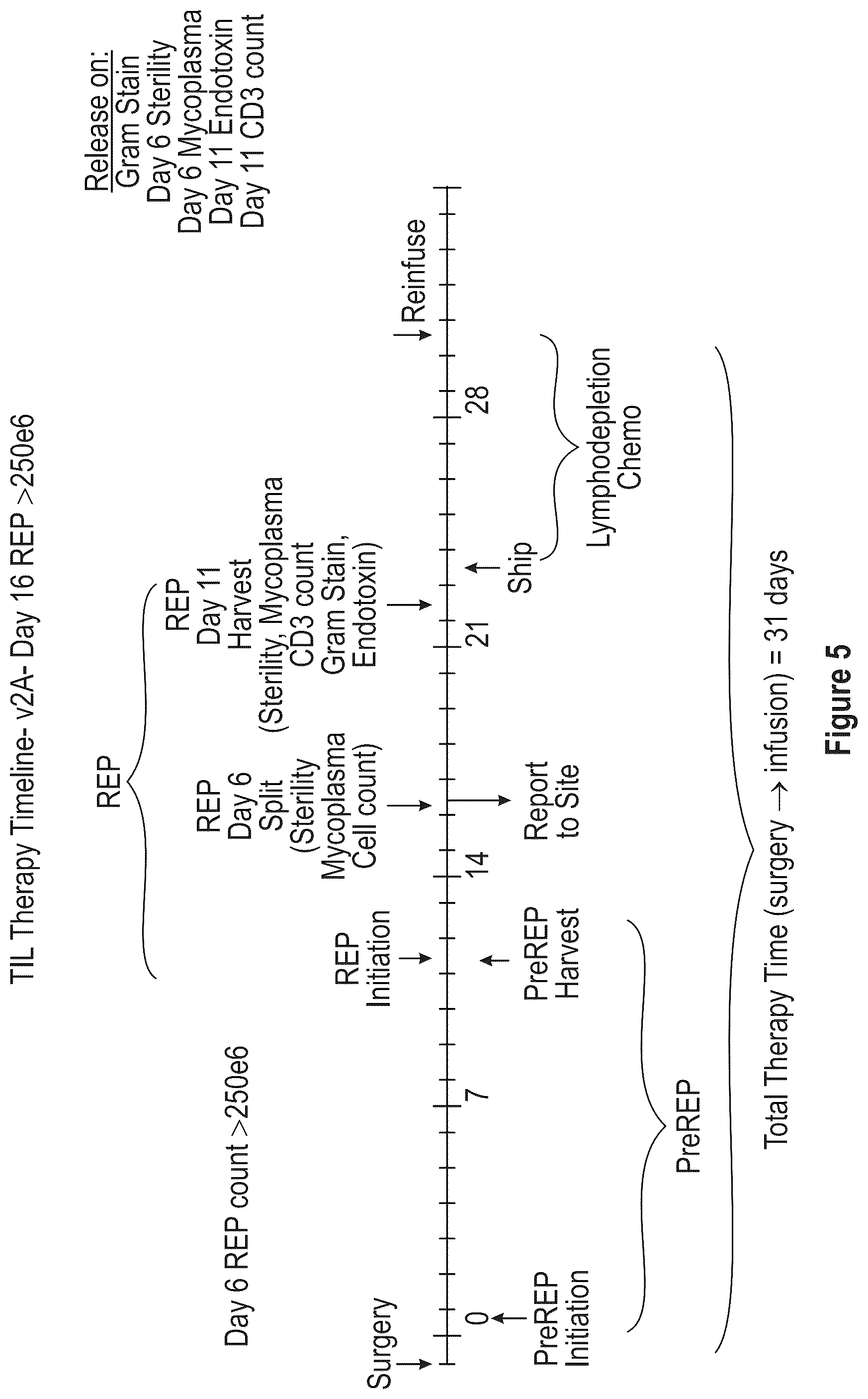 Patent US12104172 Figure 5 – Processes for generating TIL products enriched for tumor antigen-specific t-cells