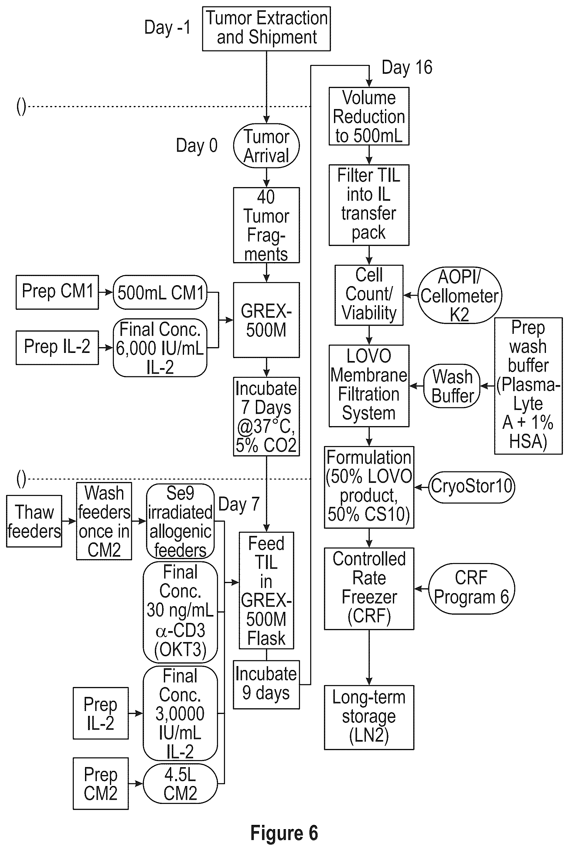 Patent US12104172 Figure 6 – Processes for generating TIL products enriched for tumor antigen-specific t-cells