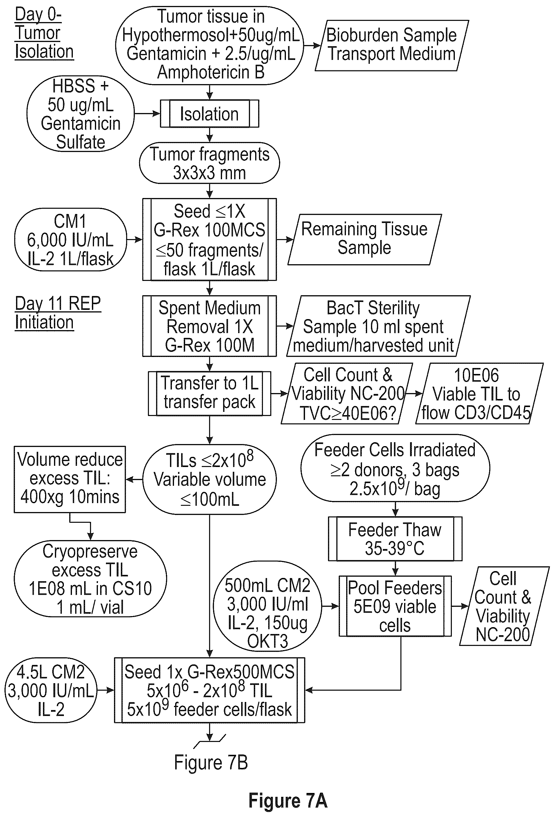 Patent US12104172 Figure 7 – Processes for generating TIL products enriched for tumor antigen-specific t-cells