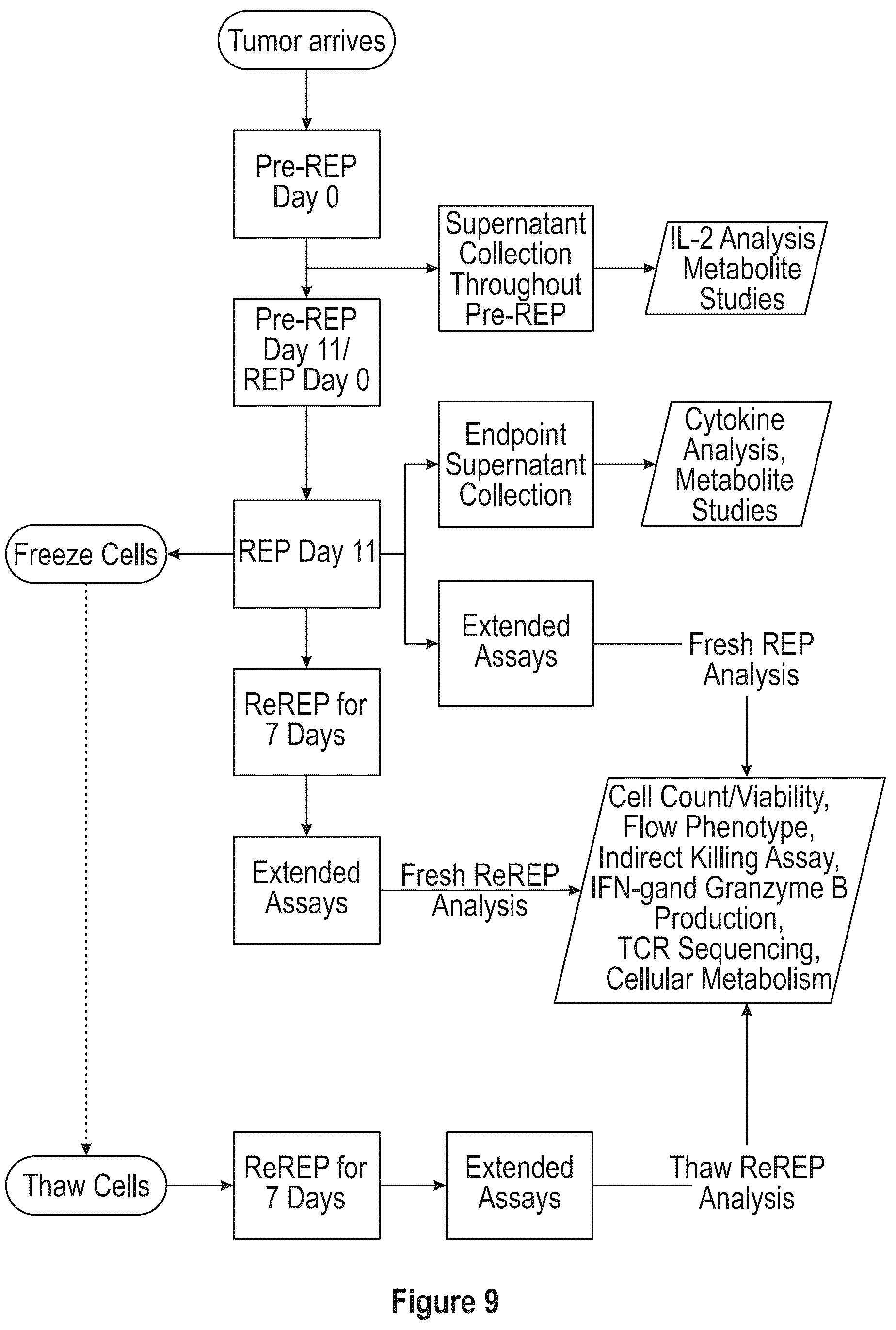 Patent US12104172 Figure 11 – Processes for generating TIL products enriched for tumor antigen-specific t-cells