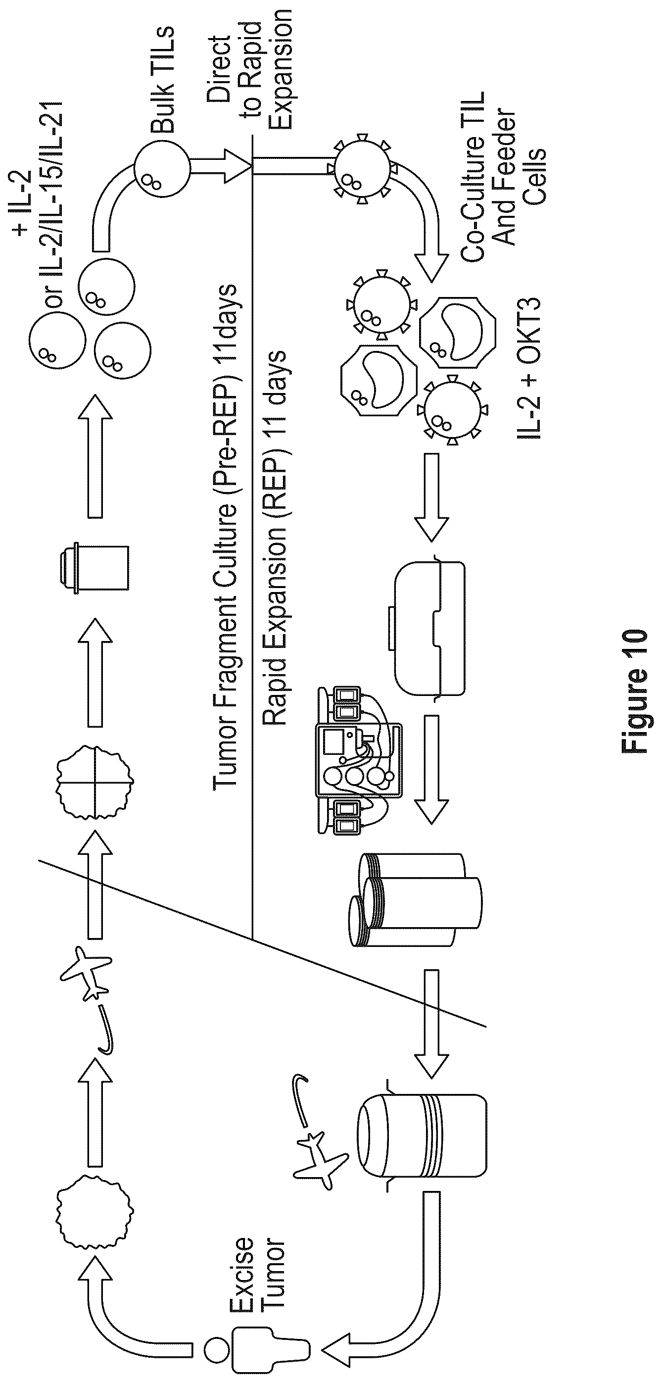 Patent US12104172 Figure 12 – Processes for generating TIL products enriched for tumor antigen-specific t-cells