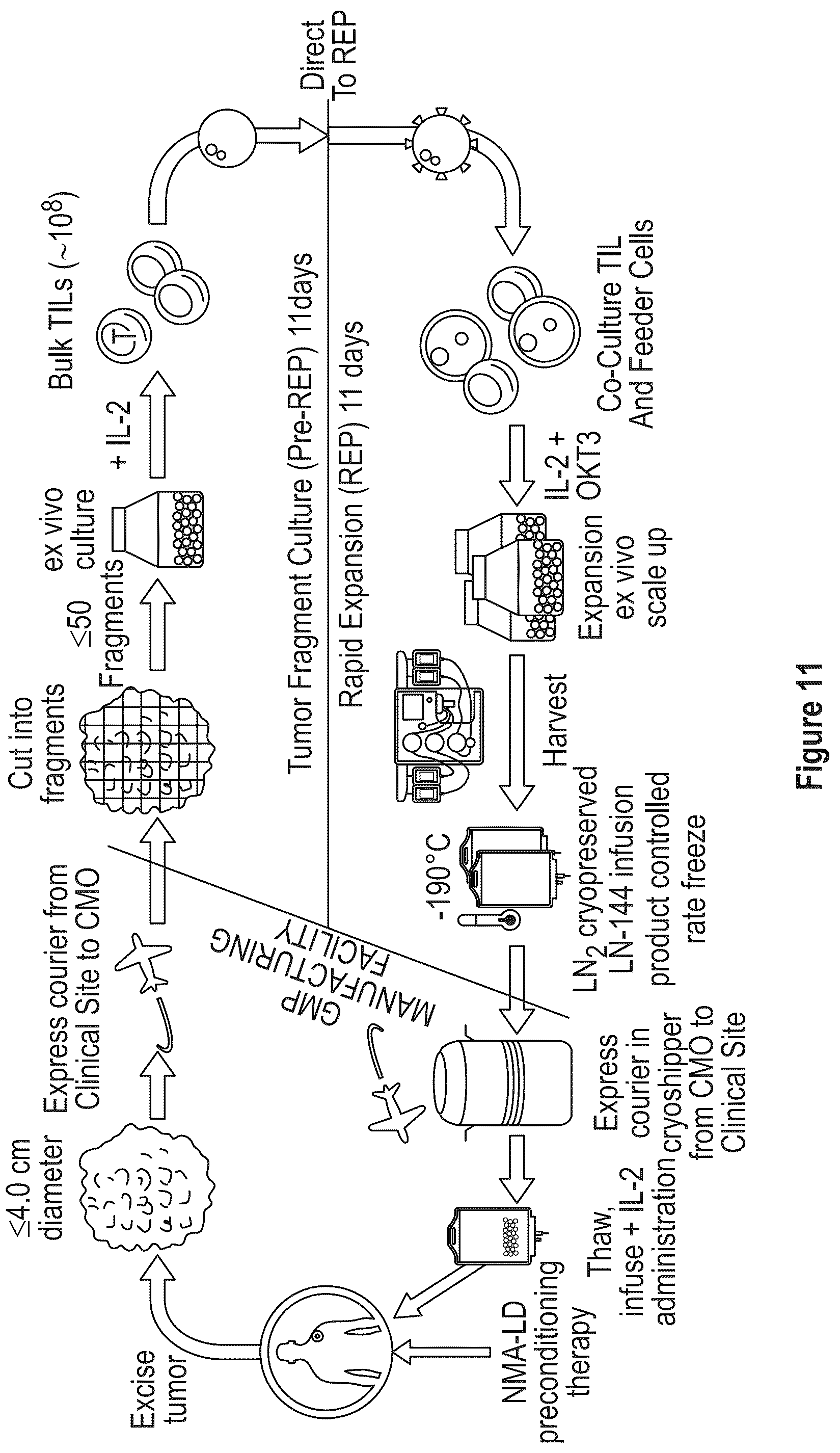 Patent US12104172 Figure 13 – Processes for generating TIL products enriched for tumor antigen-specific t-cells