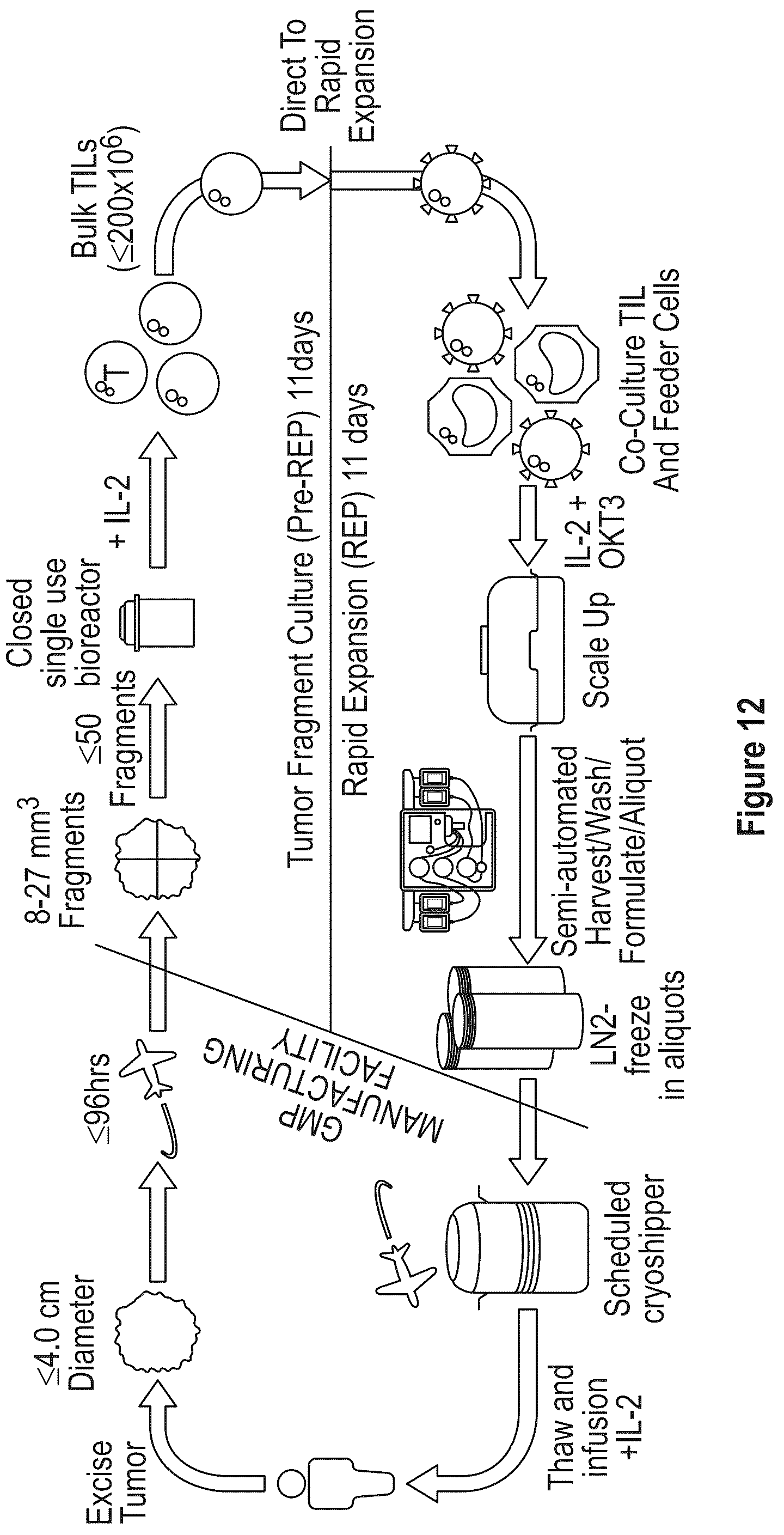 Patent US12104172 Figure 14 – Processes for generating TIL products enriched for tumor antigen-specific t-cells