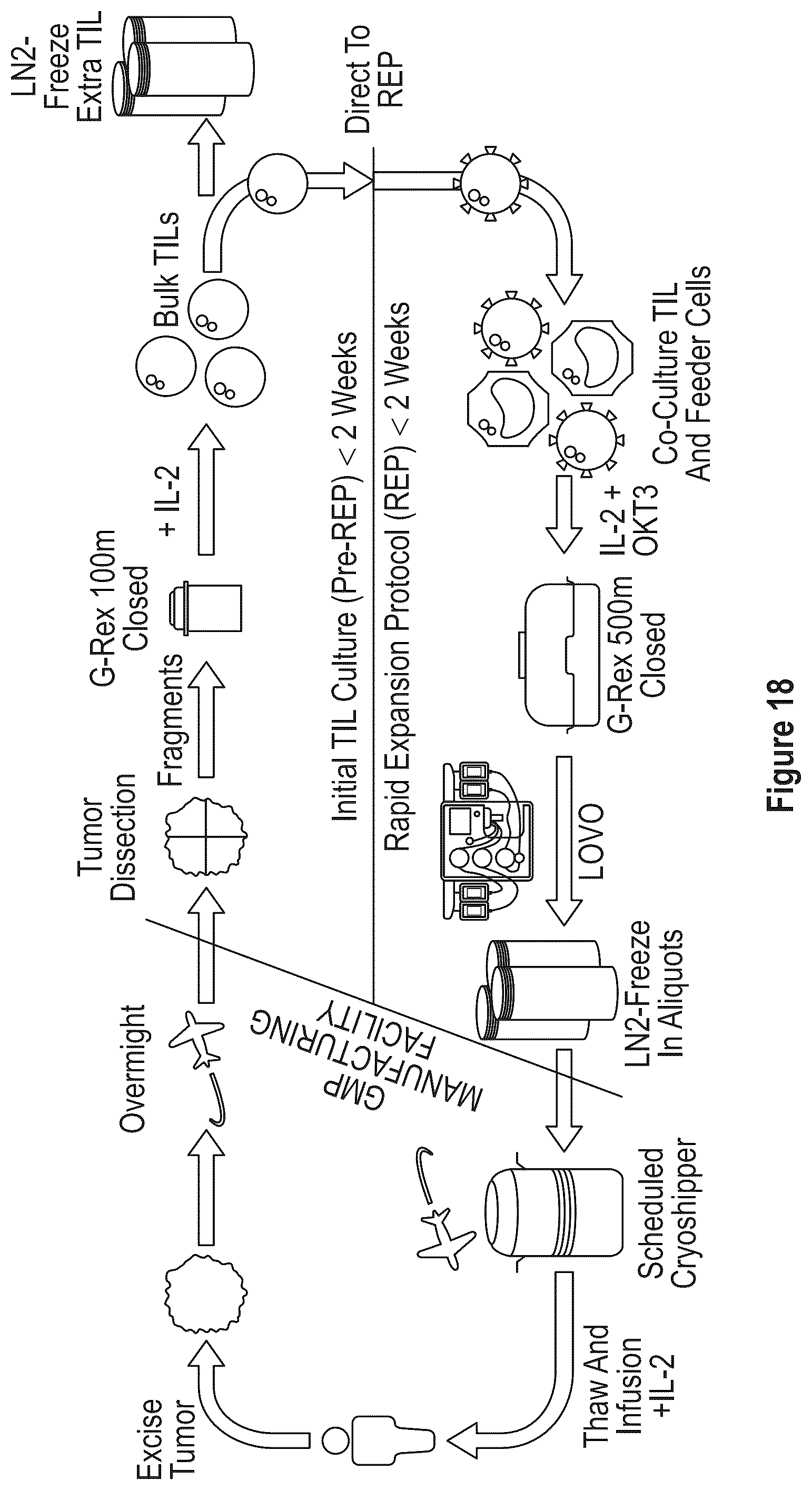 Patent US12104172 Figure 20 – Processes for generating TIL products enriched for tumor antigen-specific t-cells