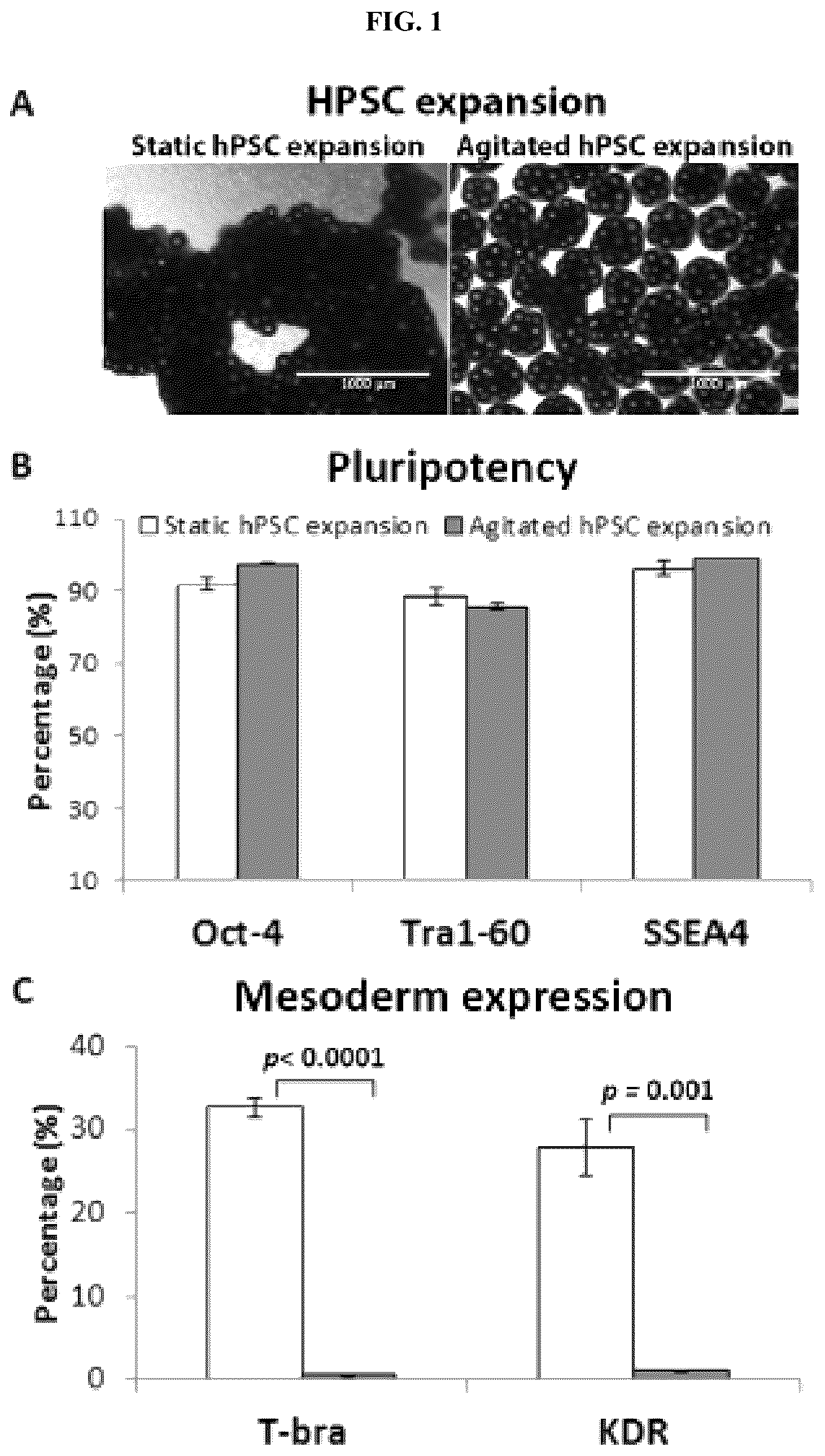 Patent US12104173 Figure 1 – Method for differentiation of human pluripotent stem cell lines in suspension culture