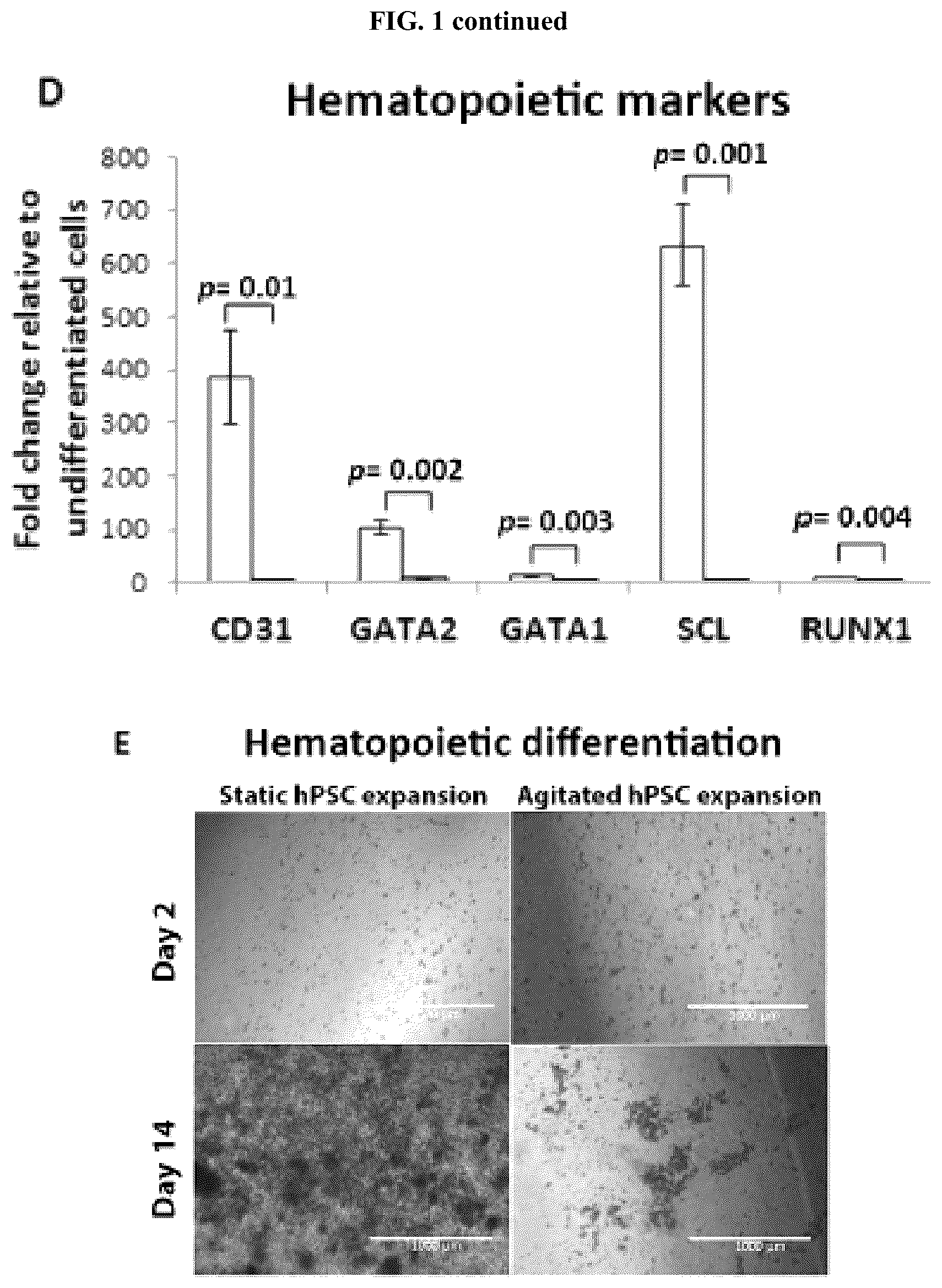Patent US12104173 Figure 2 – Method for differentiation of human pluripotent stem cell lines in suspension culture
