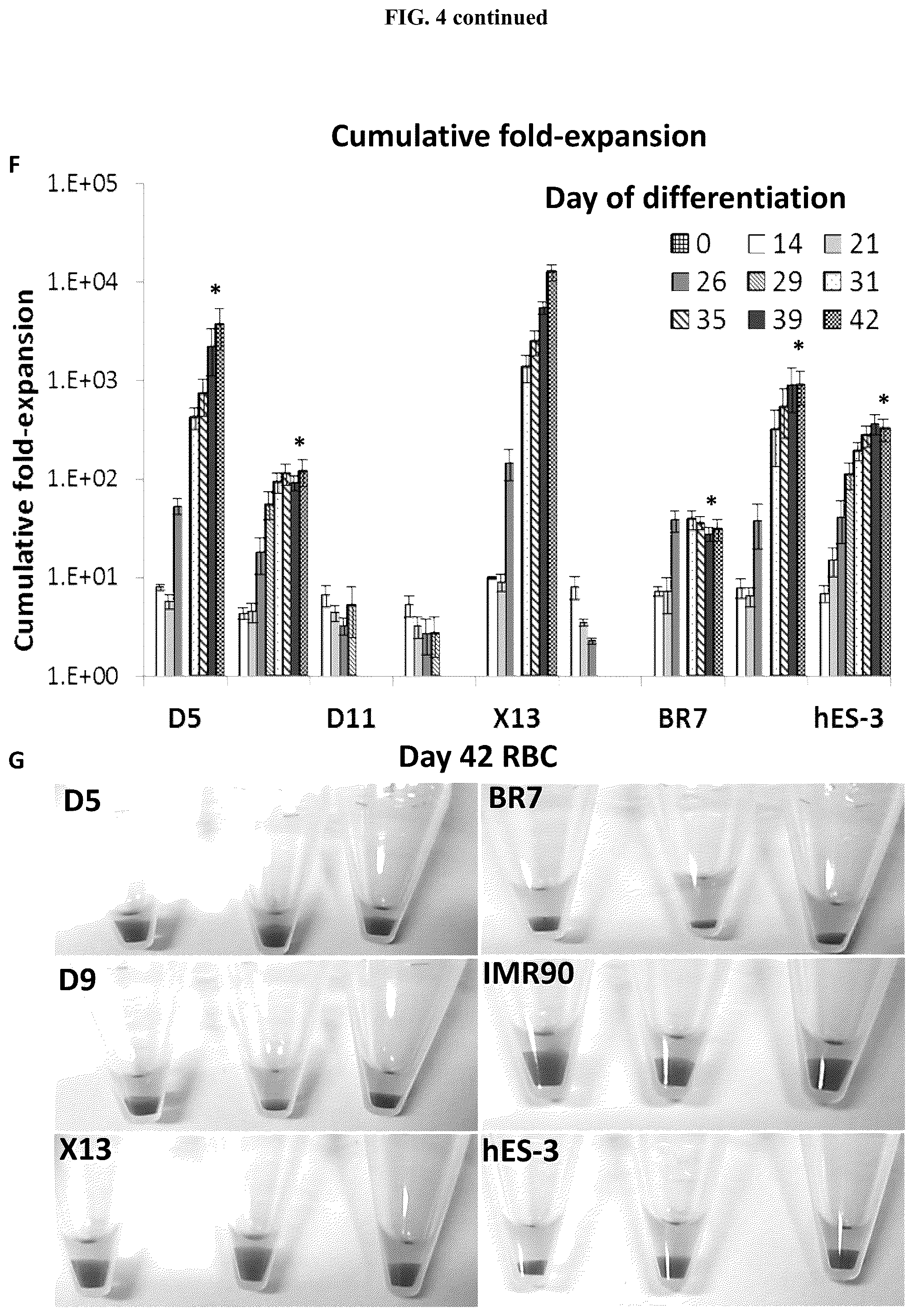 Patent US12104173 Figure 12 – Method for differentiation of human pluripotent stem cell lines in suspension culture