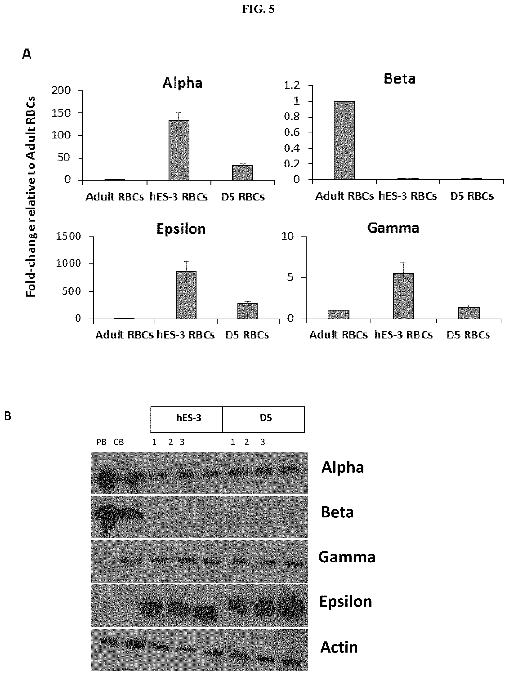 Patent US12104173 Figure 13 – Method for differentiation of human pluripotent stem cell lines in suspension culture