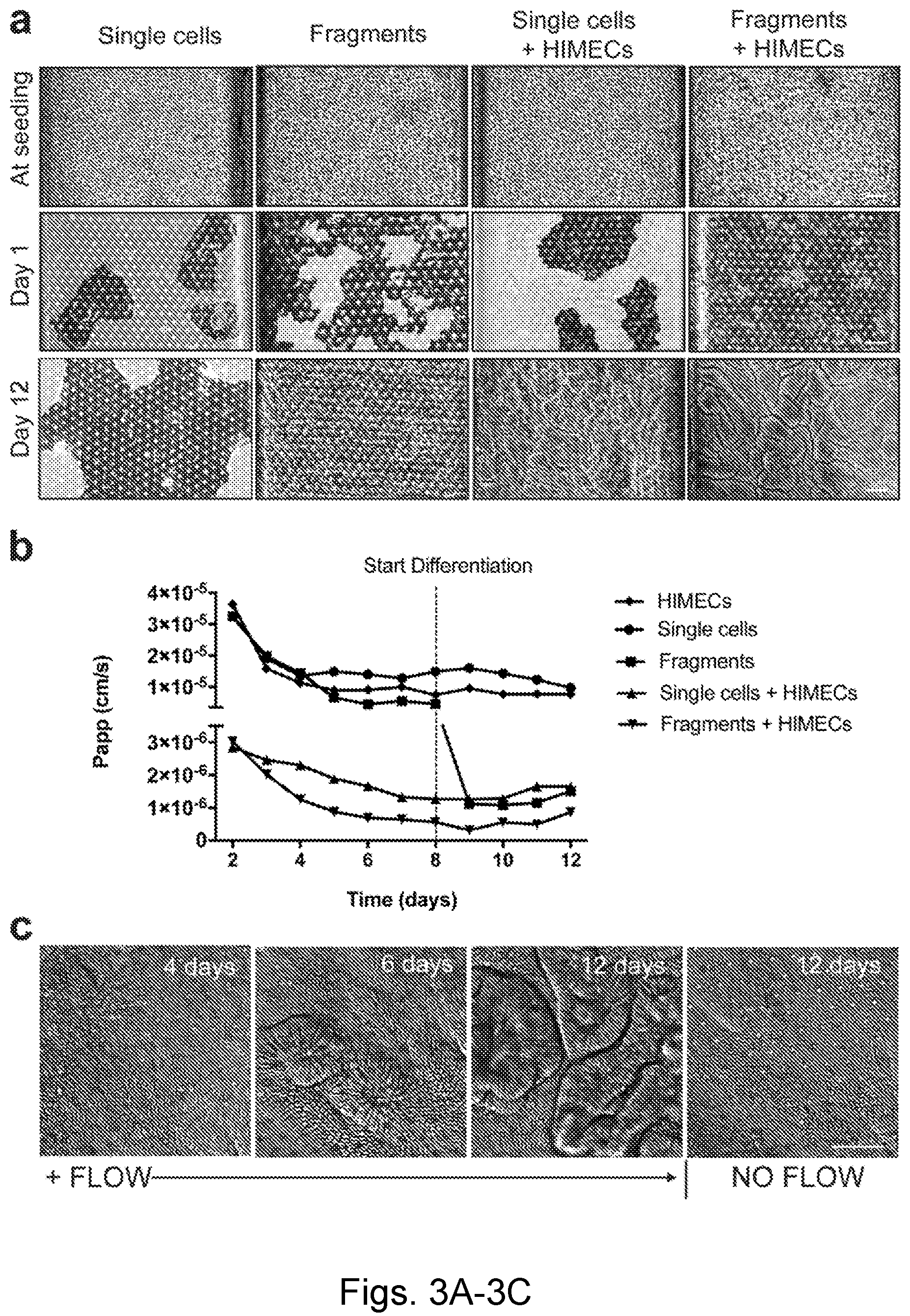 Patent US12104174 Figure 3 – Methods relating to intestinal organ-on-a-chip