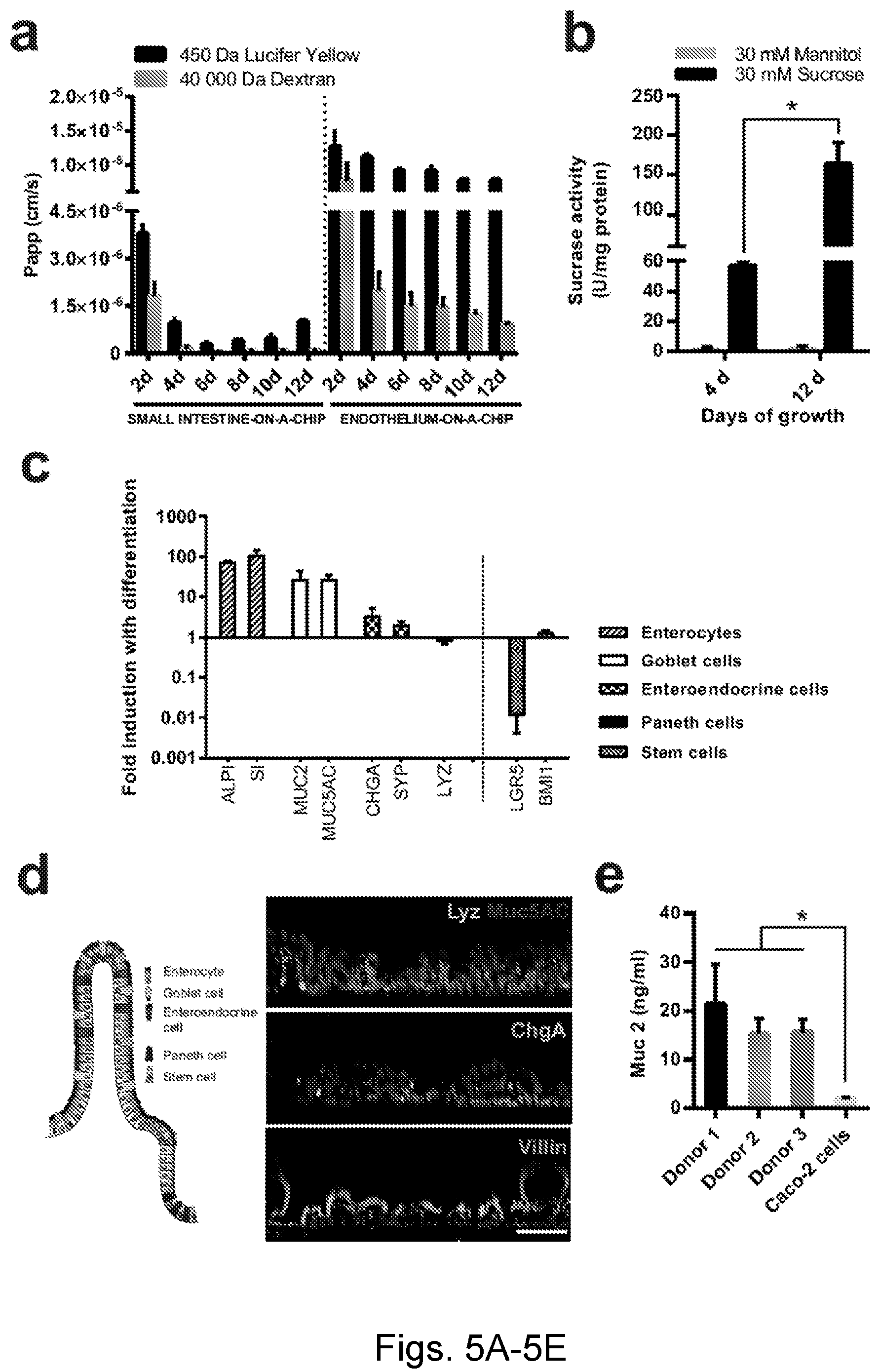 Patent US12104174 Figure 5 – Methods relating to intestinal organ-on-a-chip