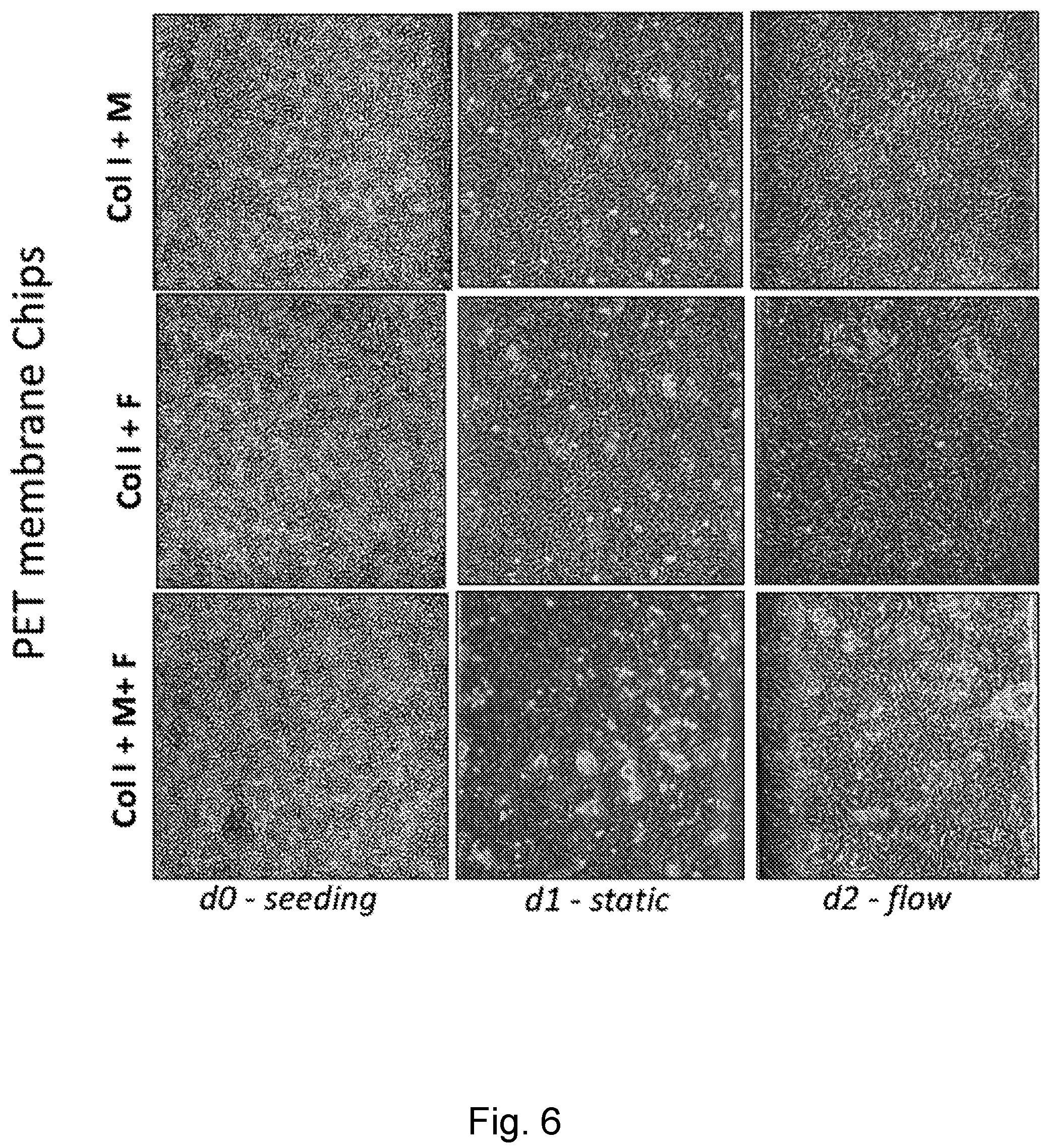 Patent US12104174 Figure 6 – Methods relating to intestinal organ-on-a-chip