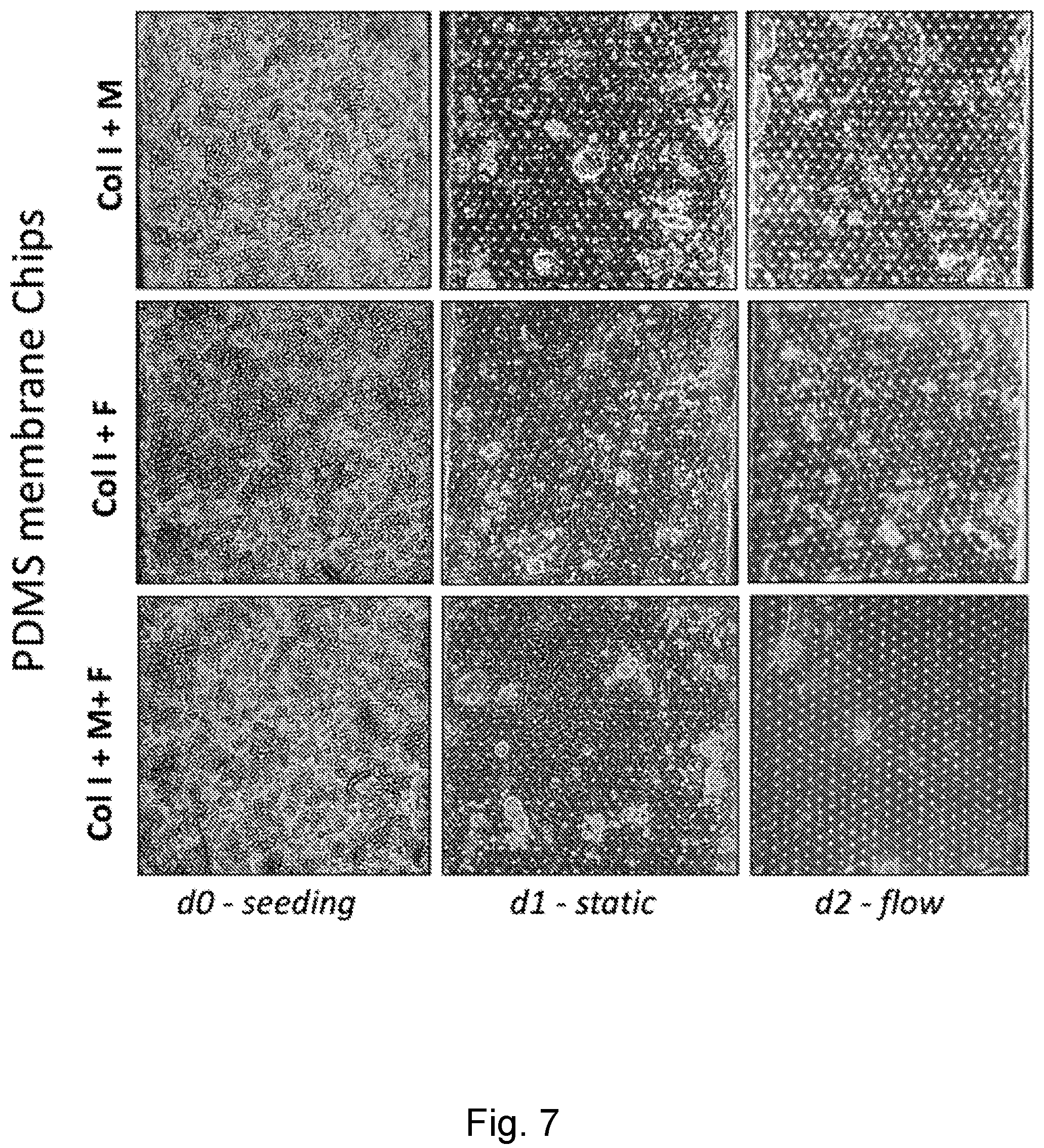 Patent US12104174 Figure 7 – Methods relating to intestinal organ-on-a-chip