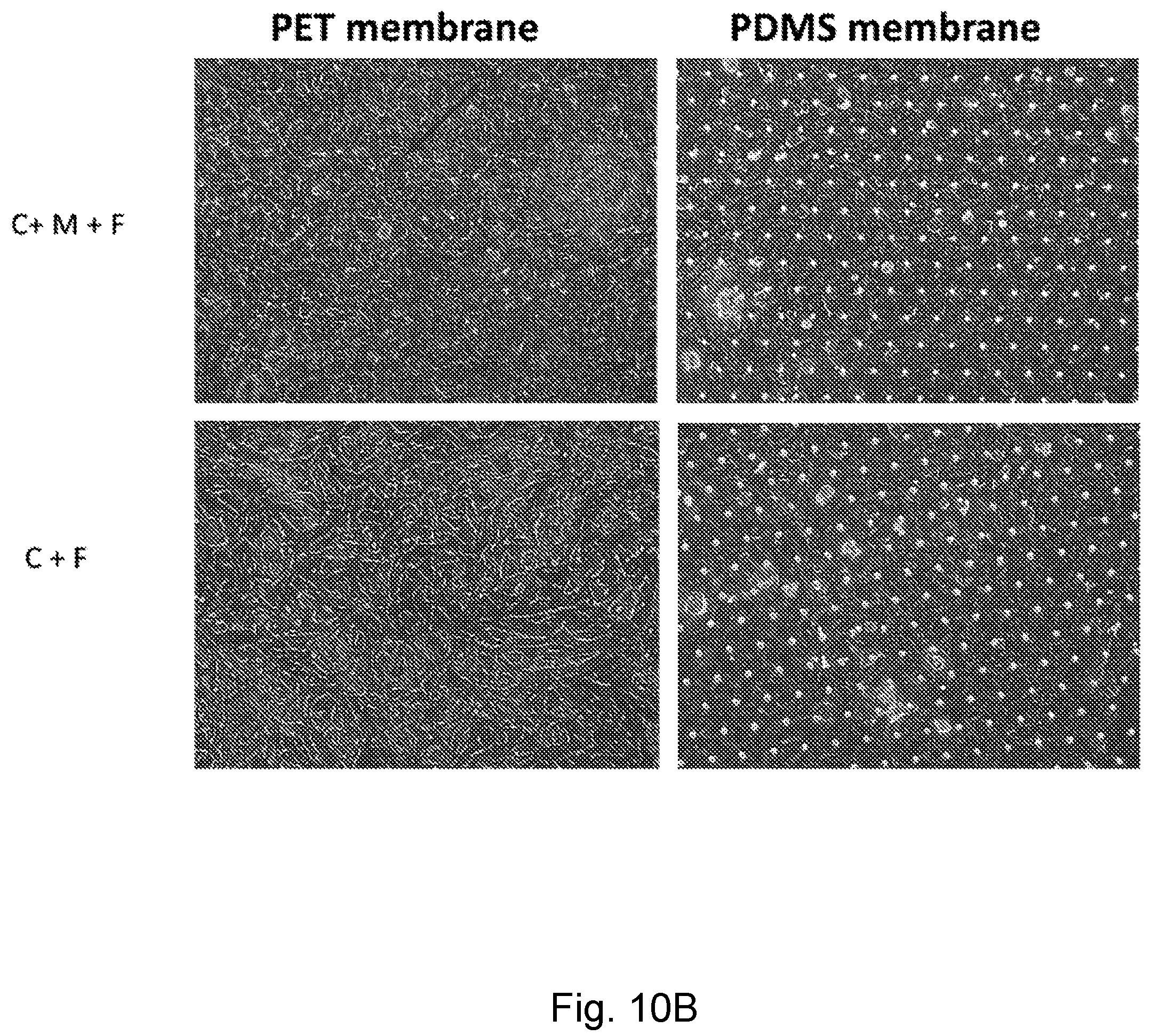 Patent US12104174 Figure 11 – Methods relating to intestinal organ-on-a-chip