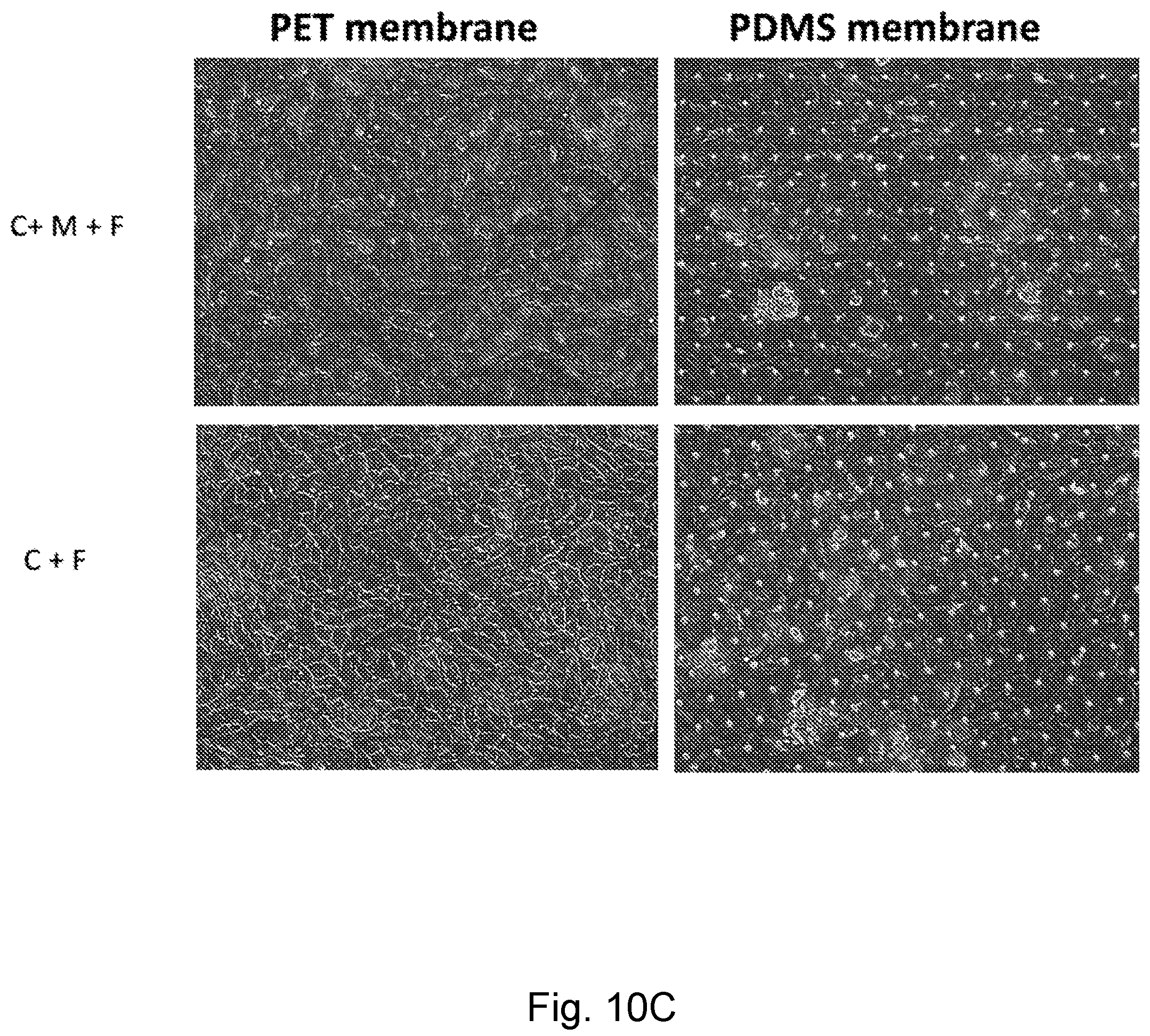 Patent US12104174 Figure 12 – Methods relating to intestinal organ-on-a-chip