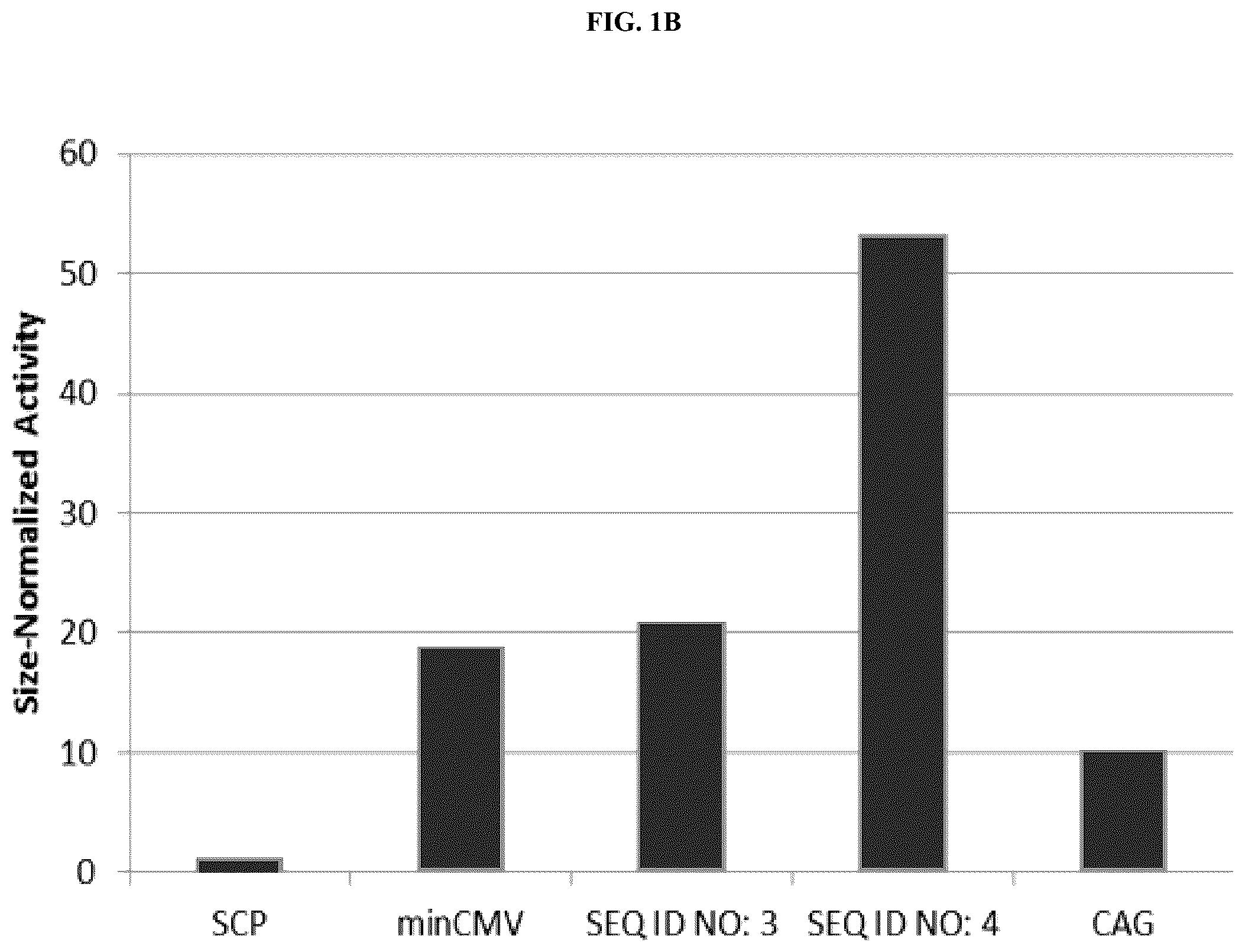Patent US12104175 Figure 2 – High activity regulatory elements
