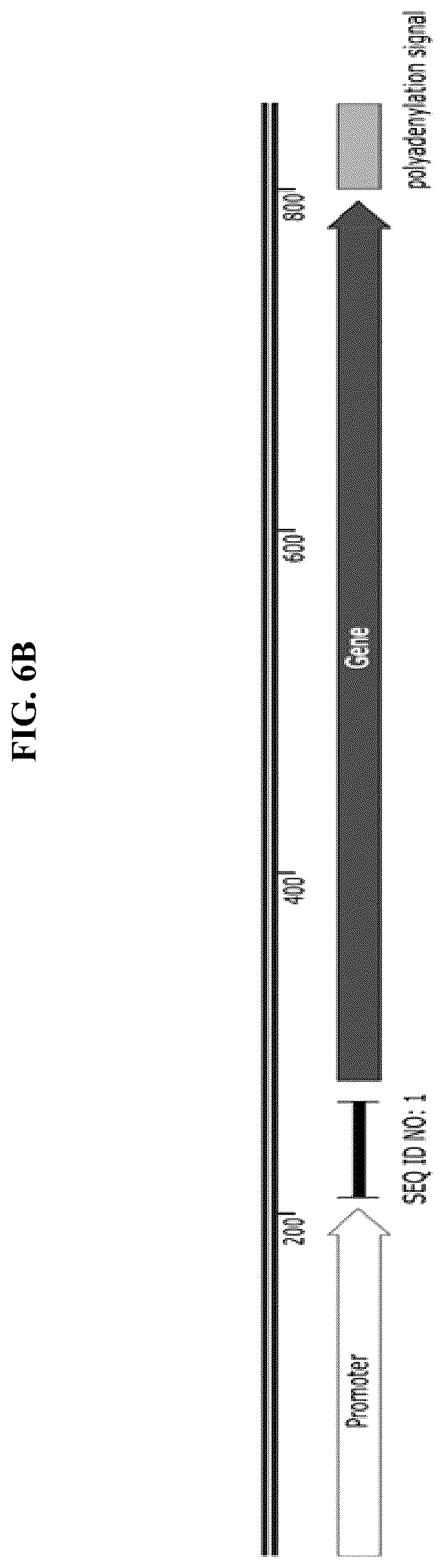 Patent US12104175 Figure 15 – High activity regulatory elements