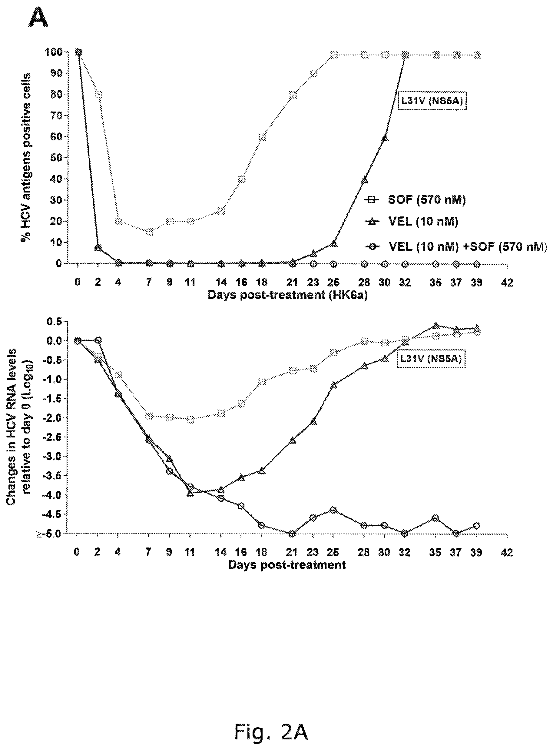 Patent US12104176 Figure 5 – Efficient cell culture system for hepatitis C virus genotype 6A