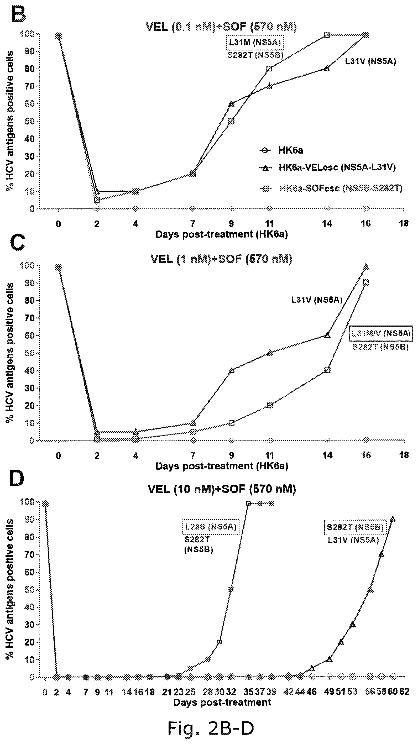 Patent US12104176 Figure 6 – Efficient cell culture system for hepatitis C virus genotype 6A