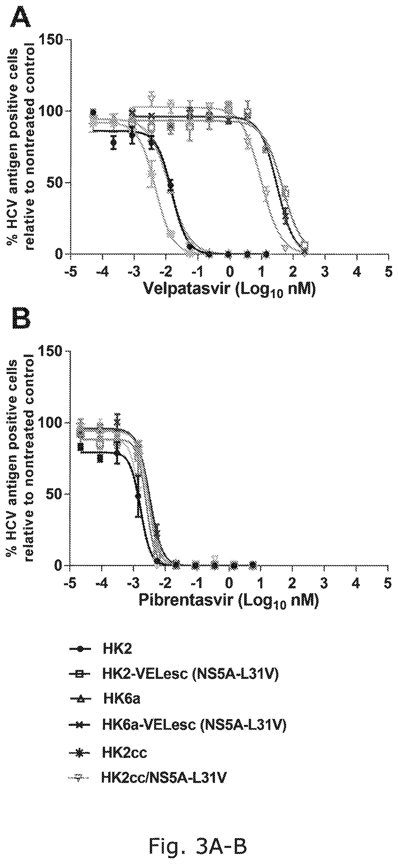 Patent US12104176 Figure 7 – Efficient cell culture system for hepatitis C virus genotype 6A